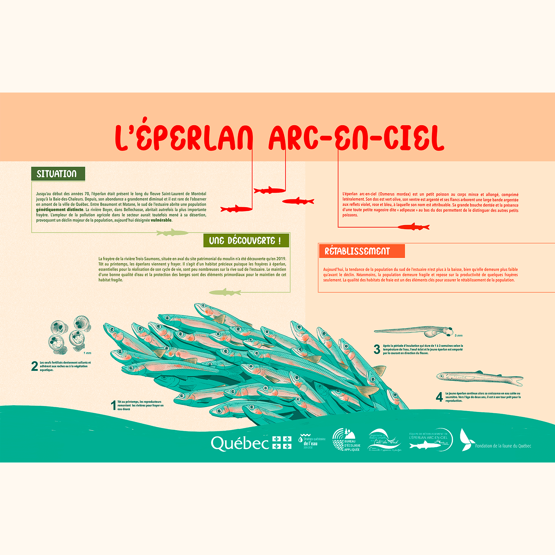 Panneau de sensibilisation - Pêche à l'éperlan arc-en-ciel