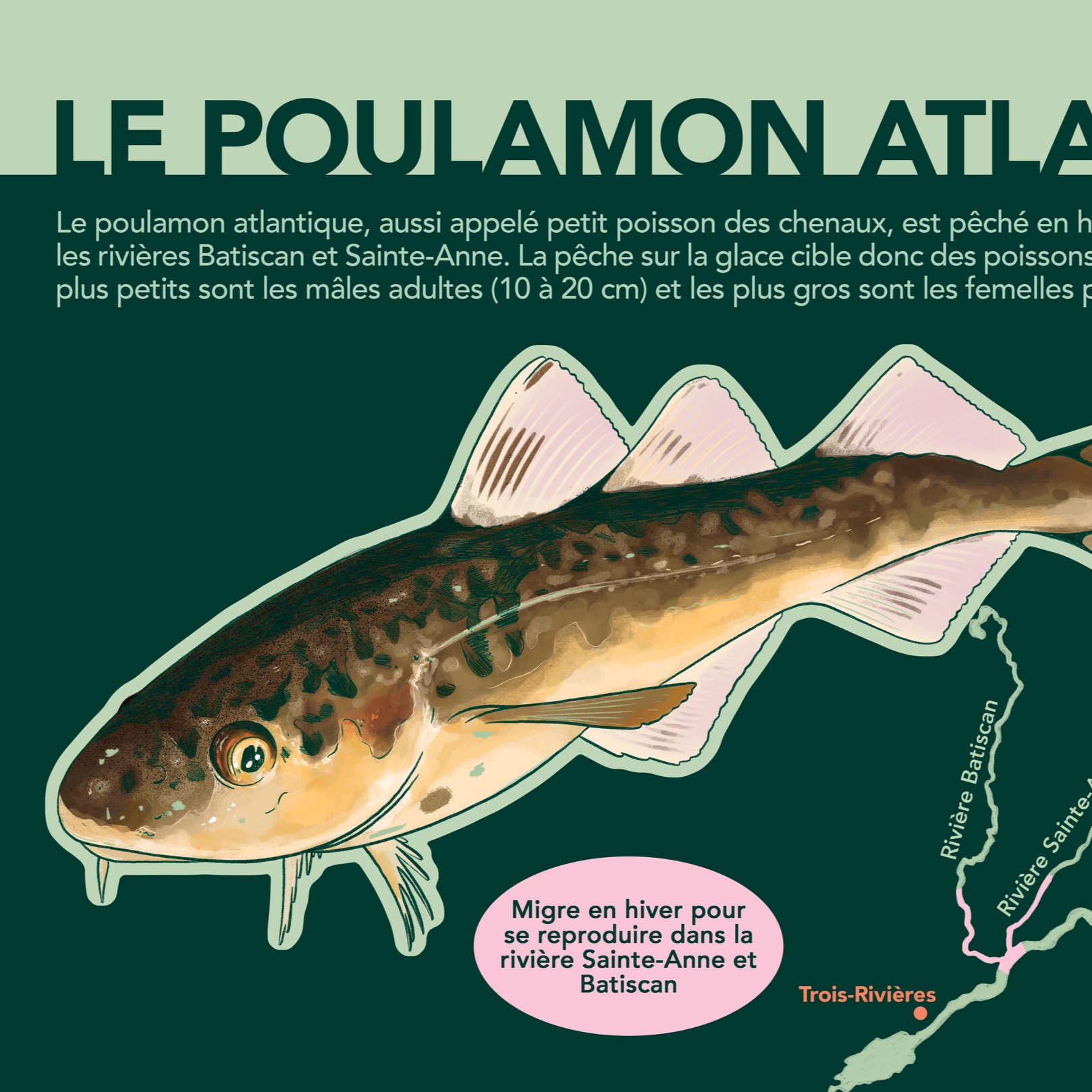 Carte postale - Poulamon - Ministère de l'environnement