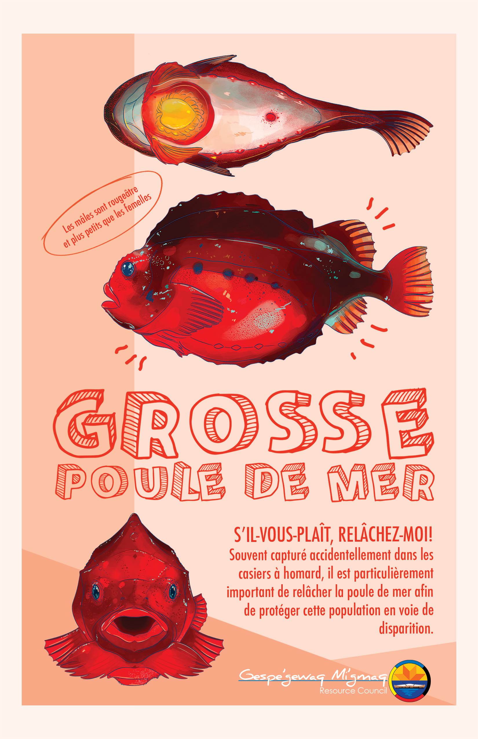 flyers_verso.png