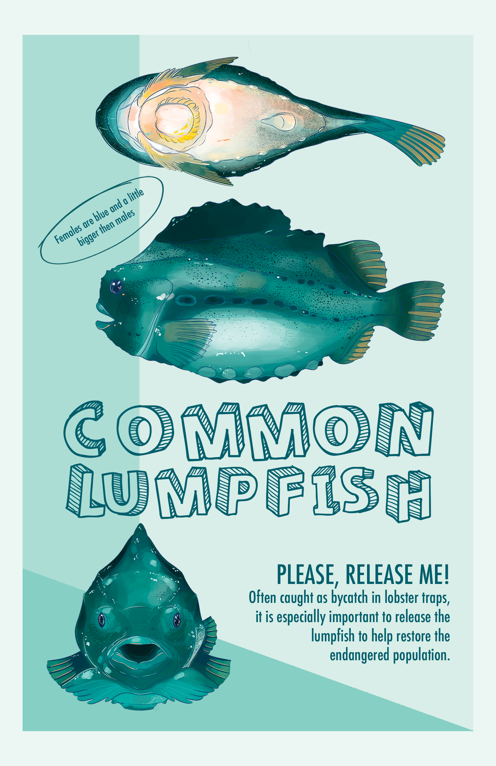 flyers_recto.png