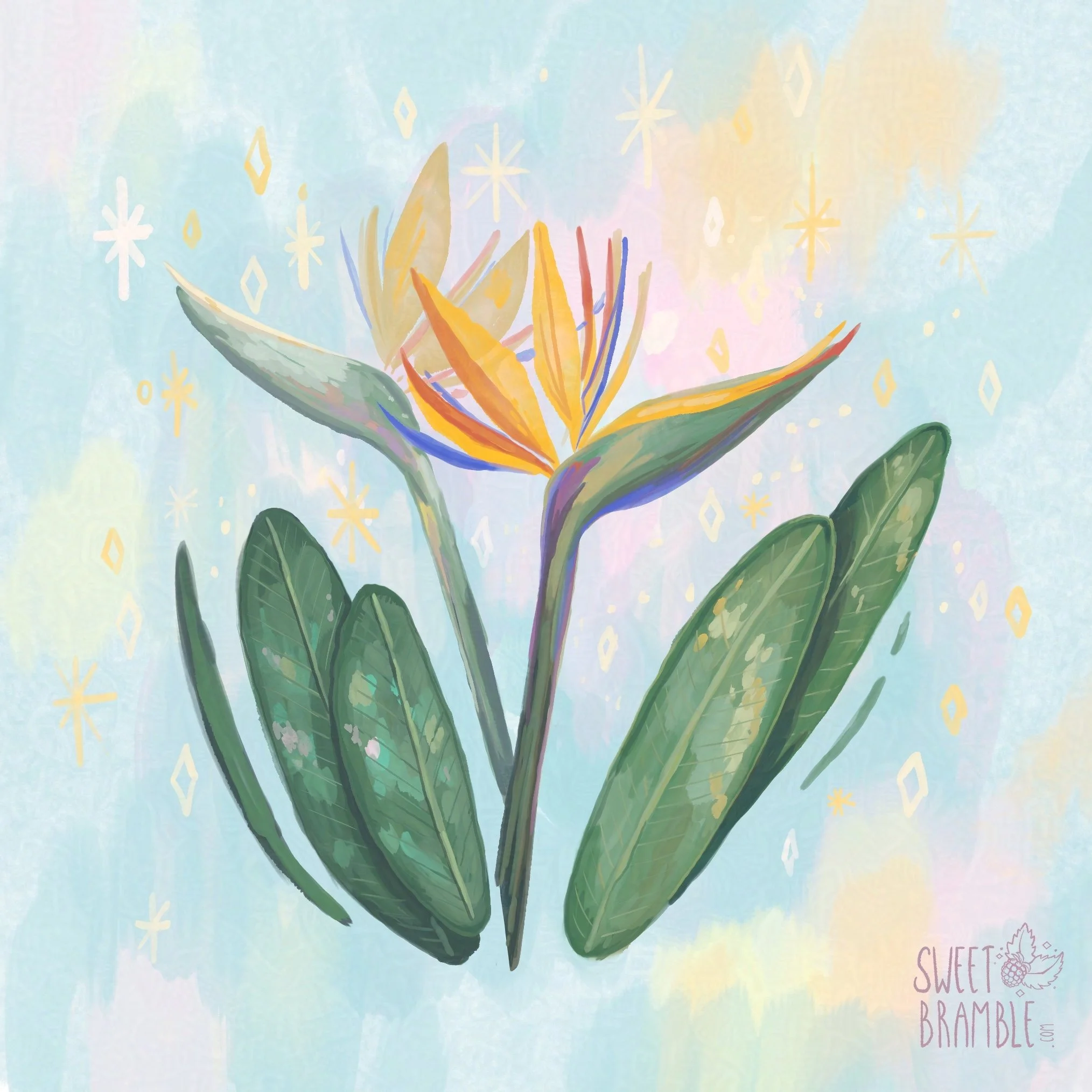 Bird of Paradise
