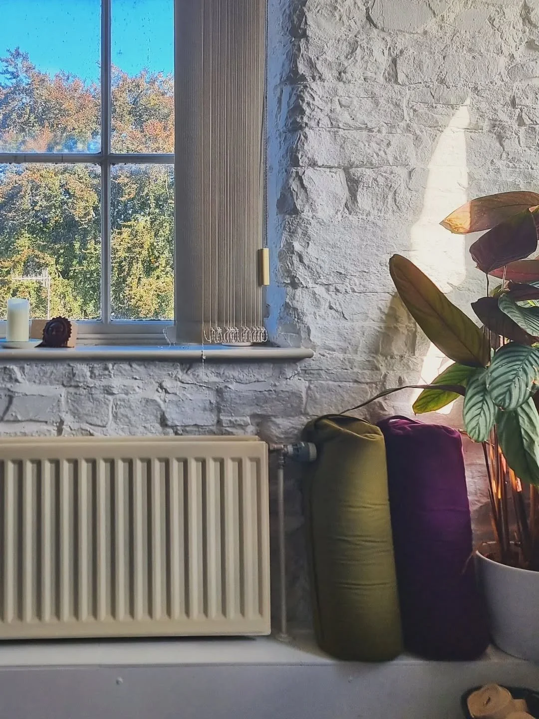 Autumn colours from the studio 🍂✨️