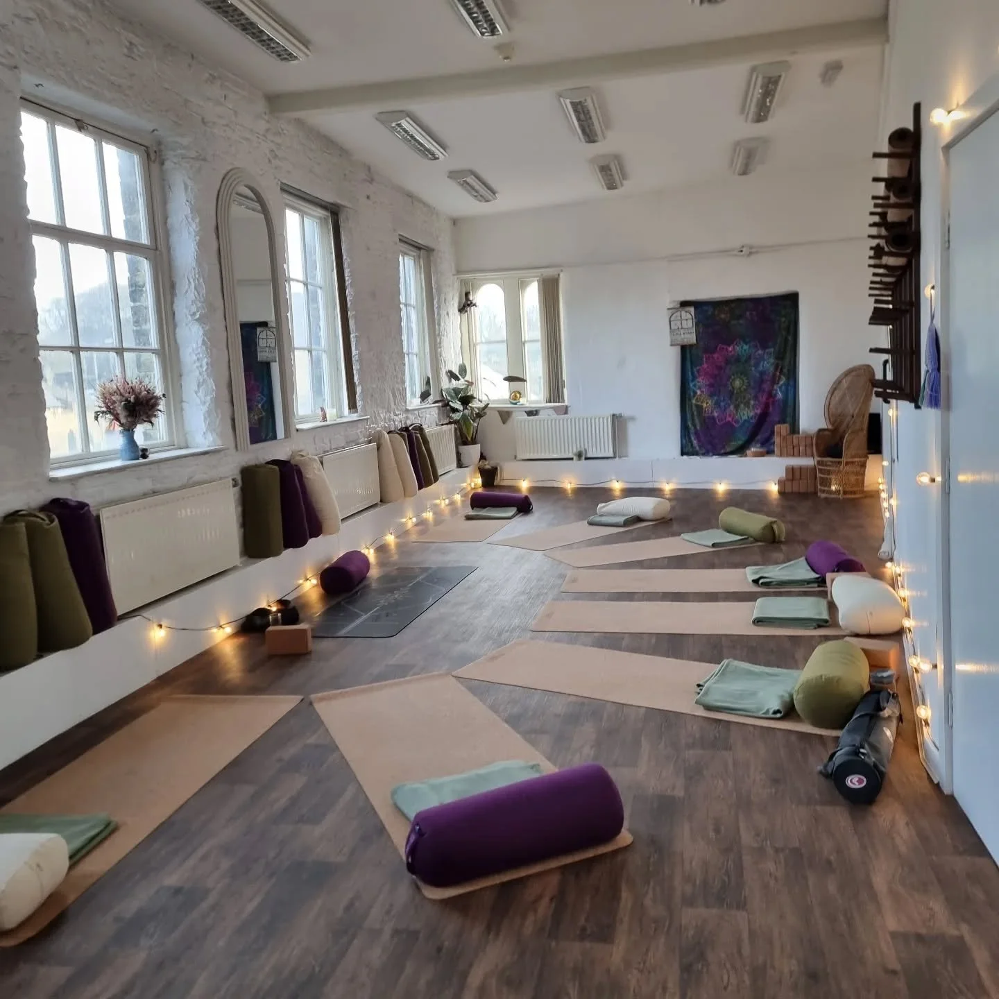 🫶 Work with us 🫶

We're looking for a Pilates teacher to cover our lovely Louise for a period. If you're interested or know somebody who might be, please reach out 🙏