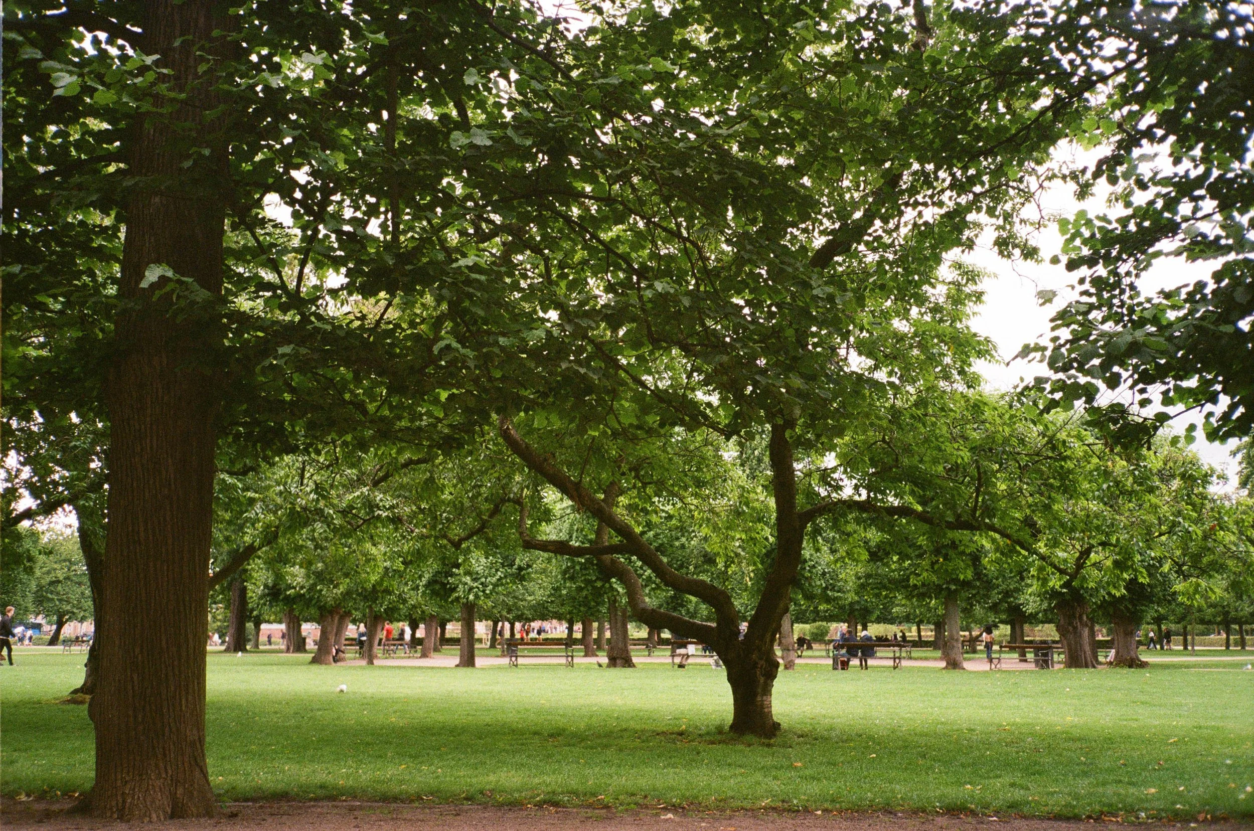 D0655D06-3682-465E-A811-8387E8027424.jpeg