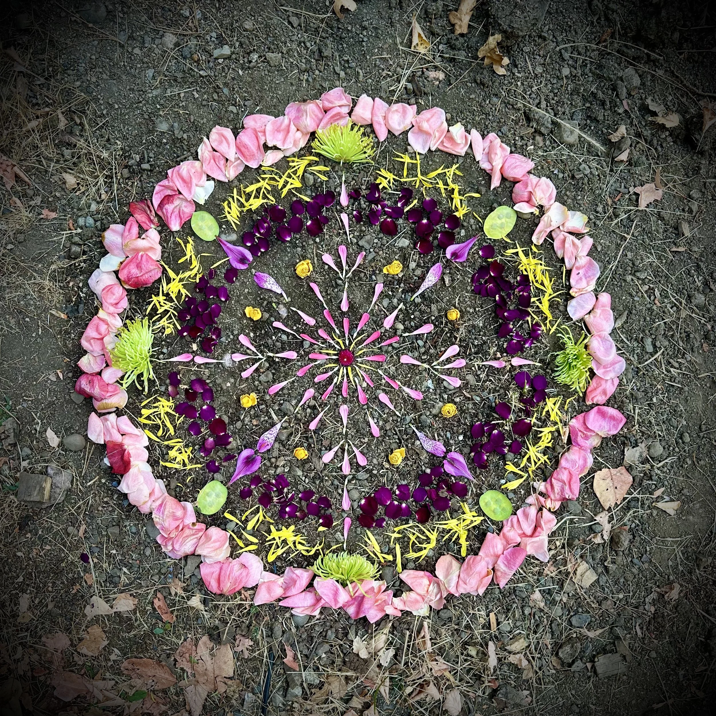 Mandalas & Circles