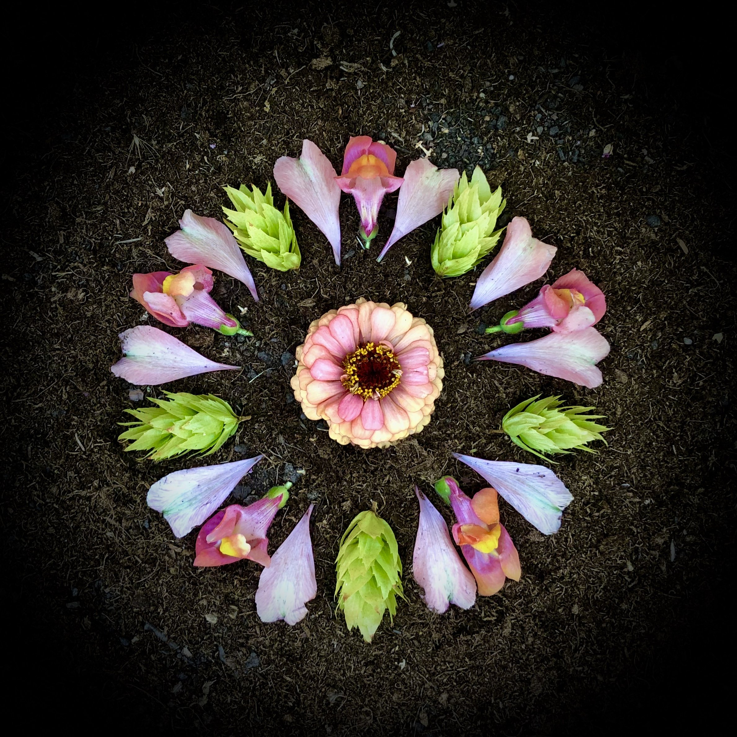 Possibility Series