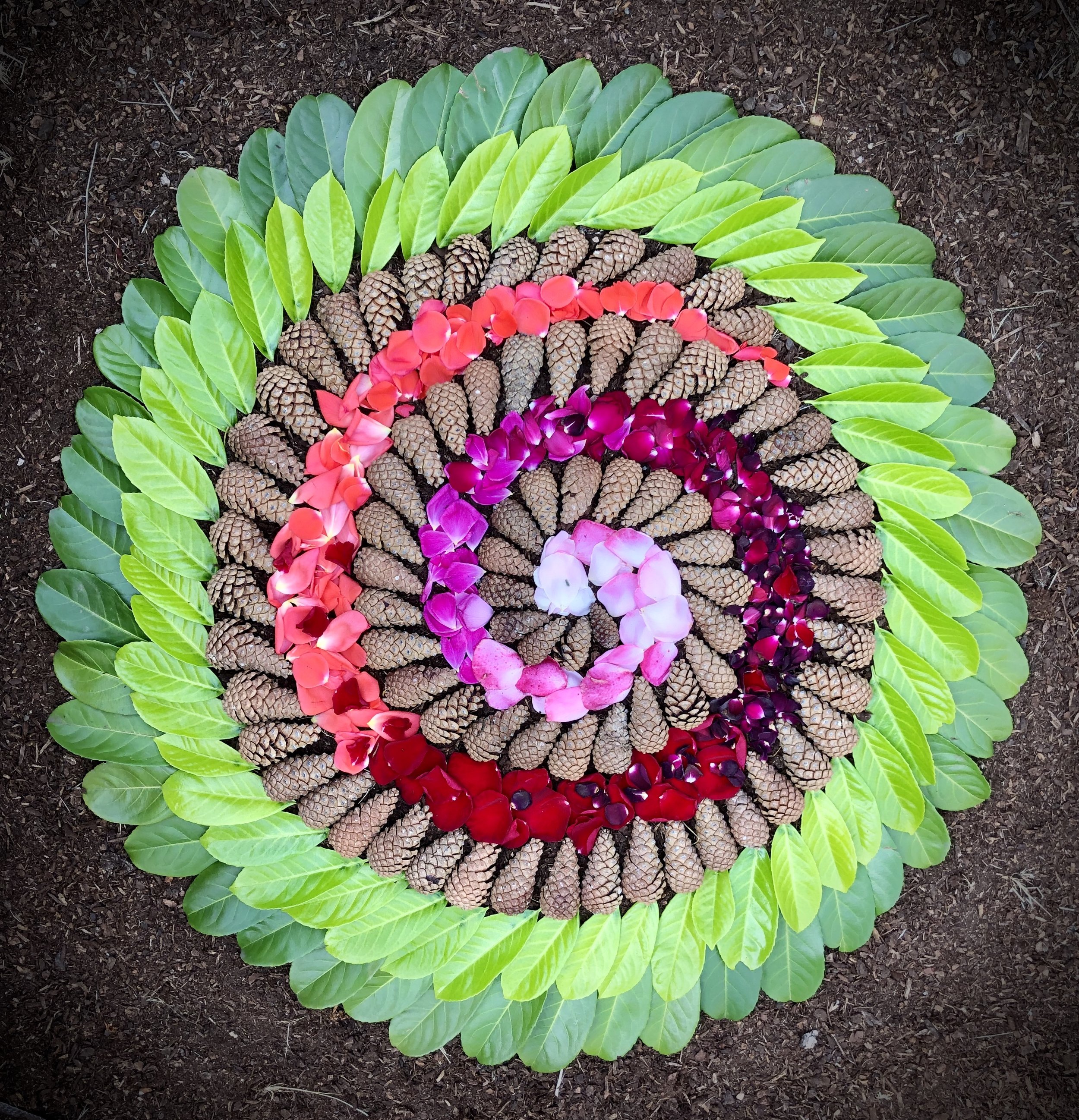 Spring Spiral
