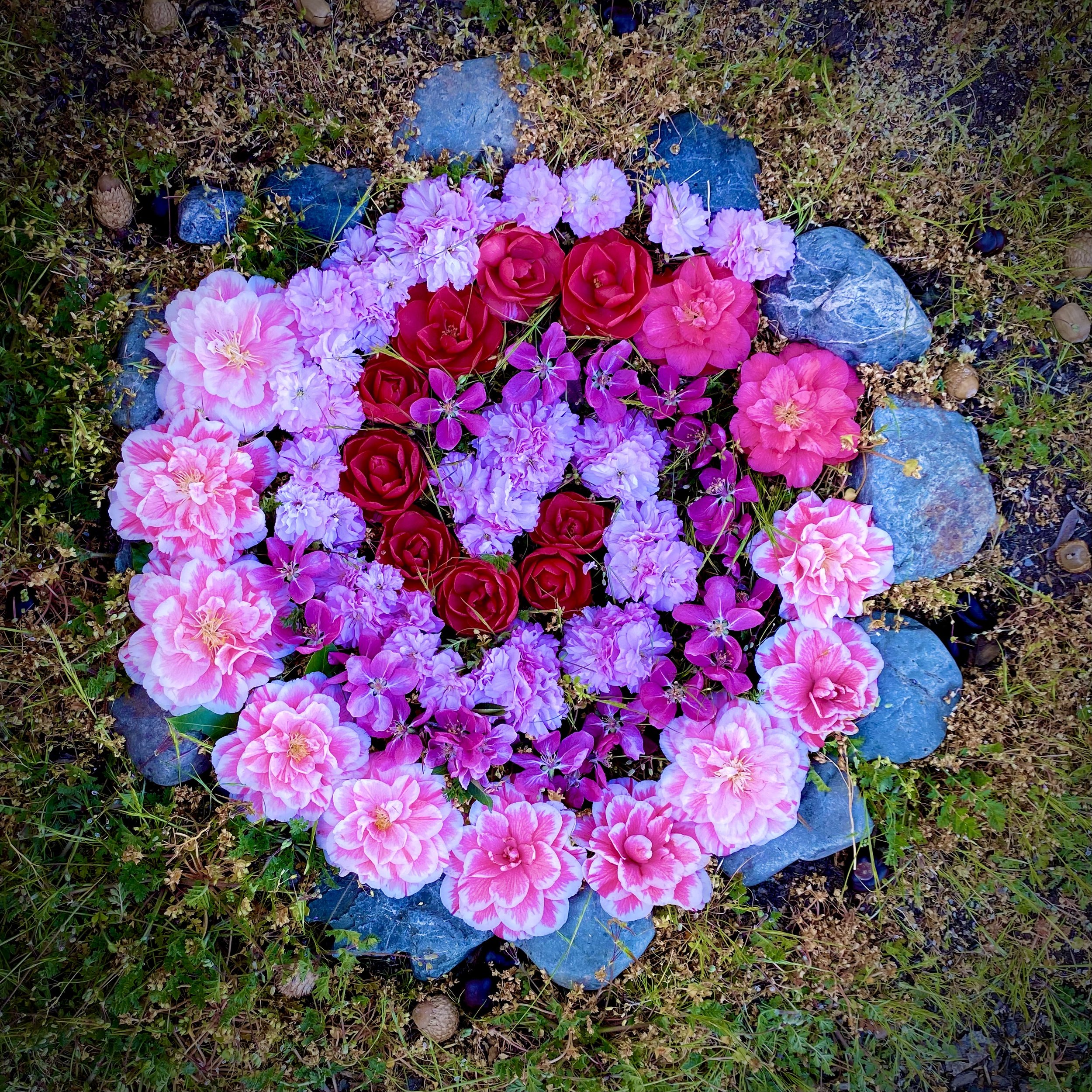 Camellia Heart Spiral