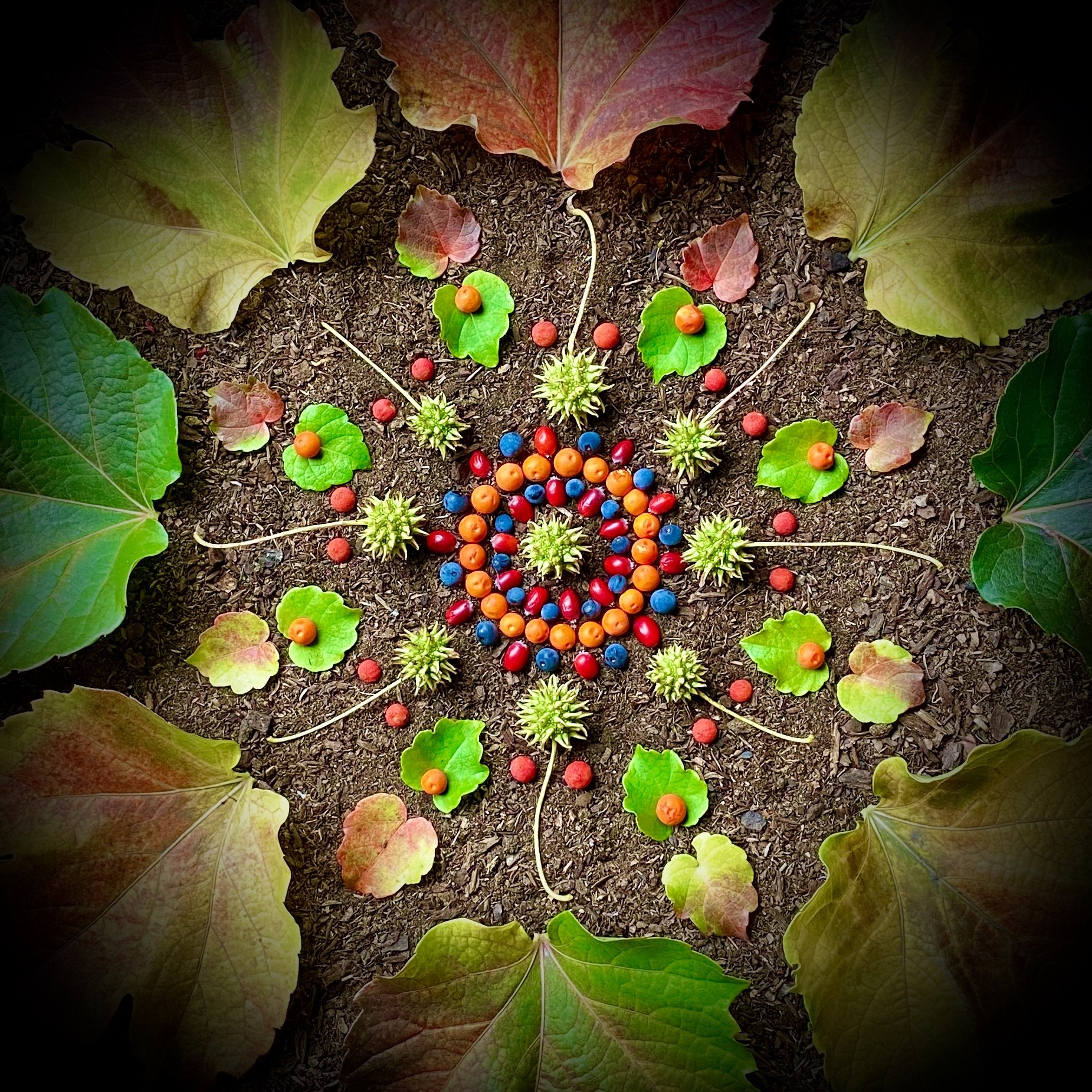 Soul Nourishment