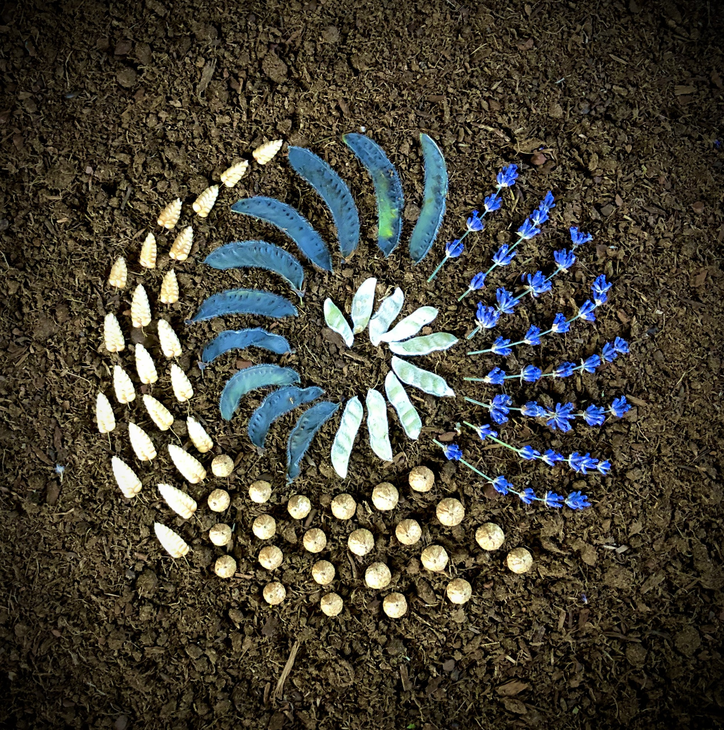 Seascape Spiral