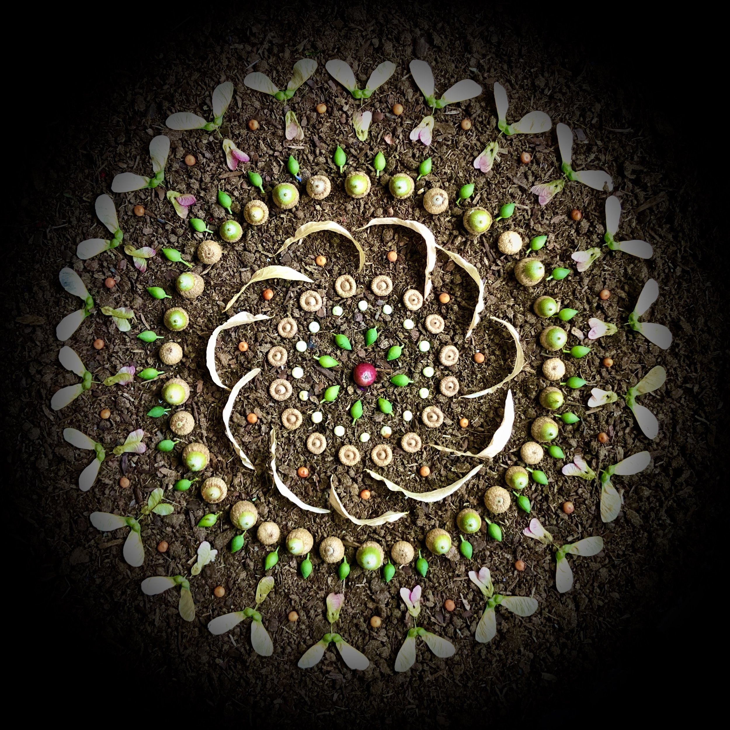 Acorn Maple Mandala