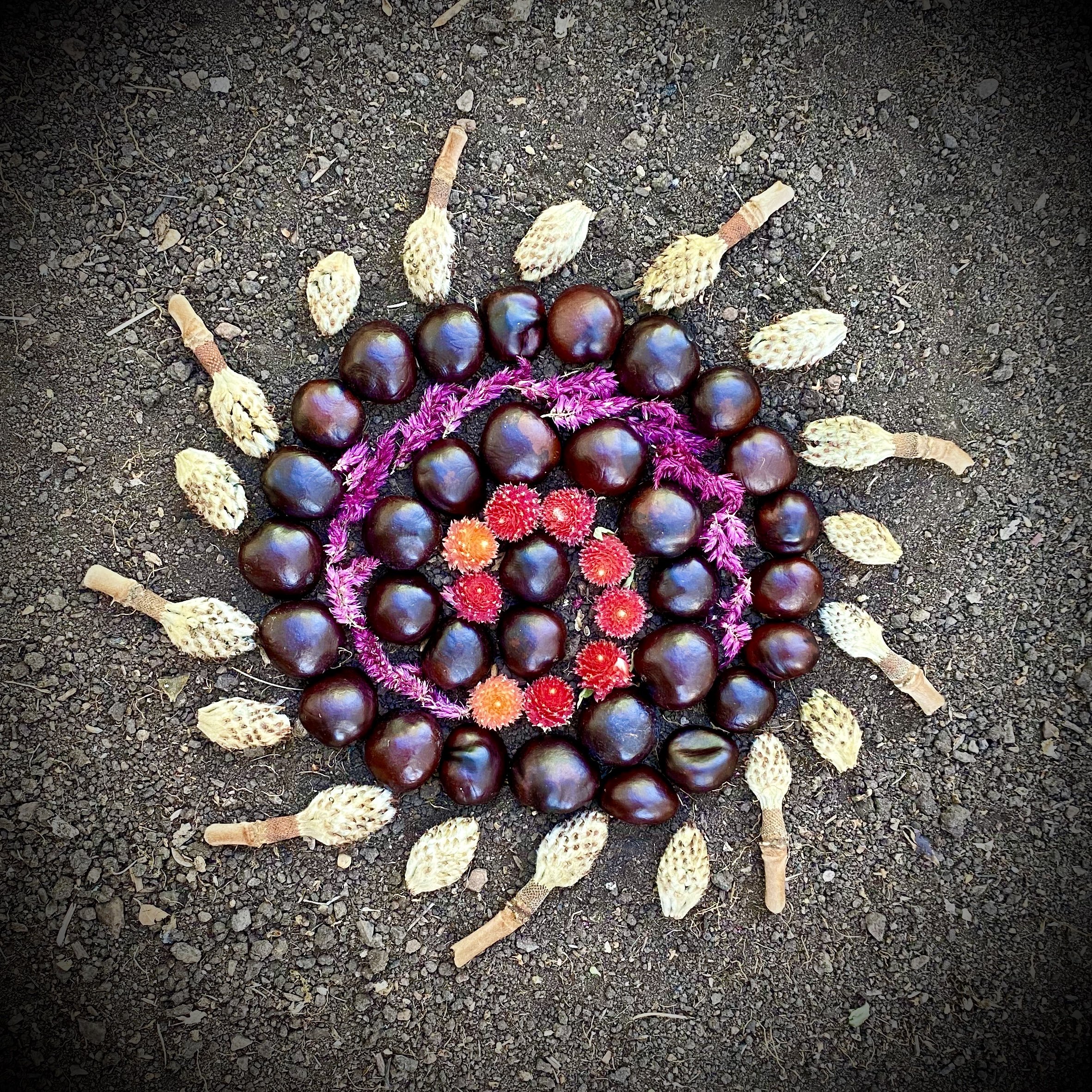 Chestnut Dream Spiral