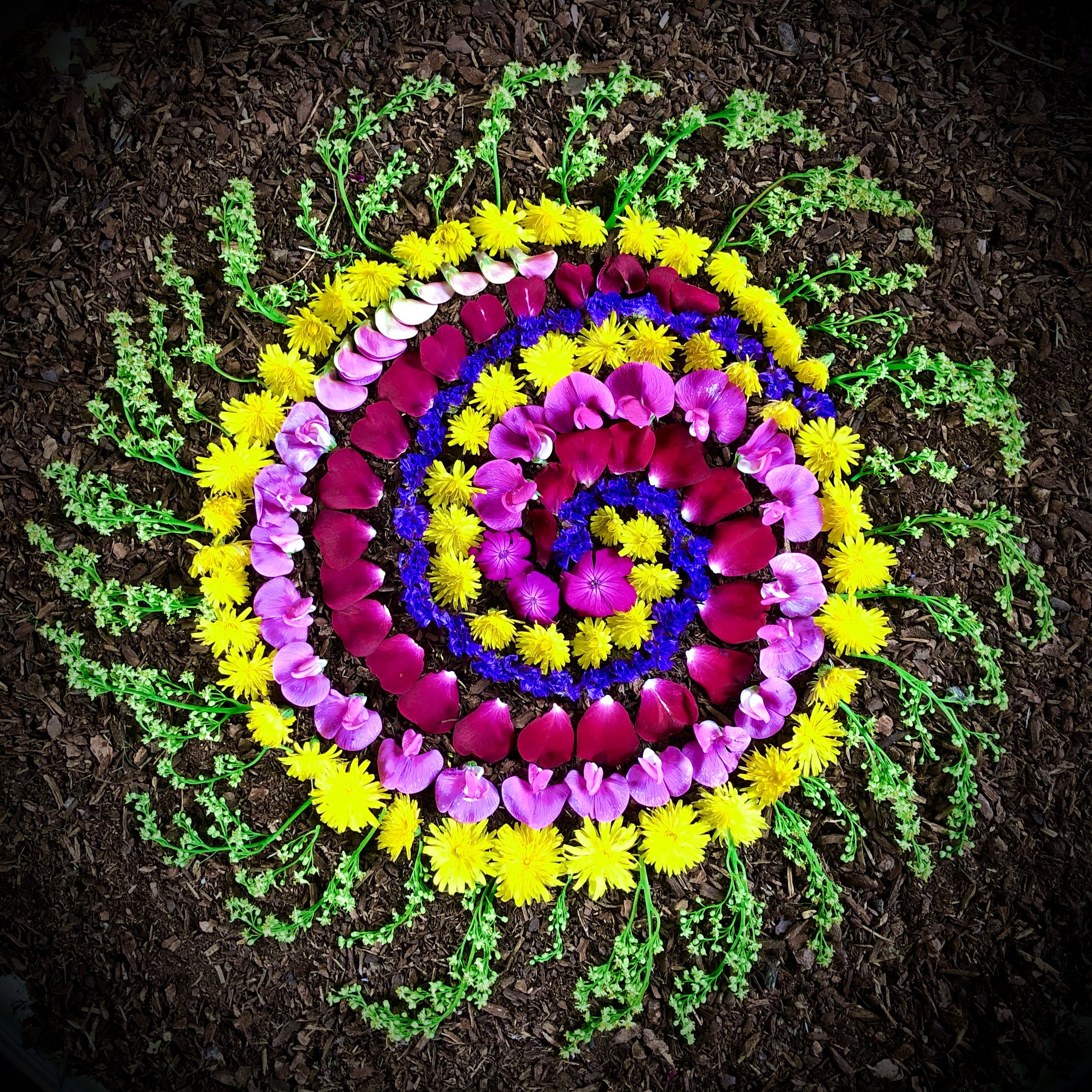 adrienne's miracle spiral