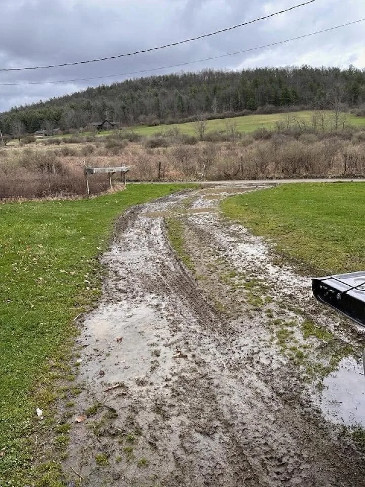 driveway 1.jpg