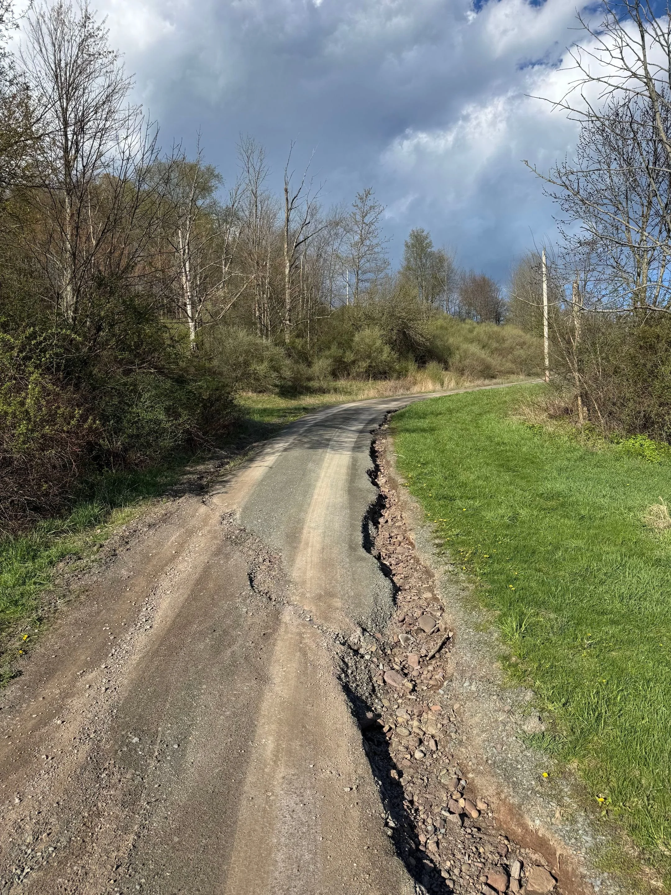 driveway 7.jpg