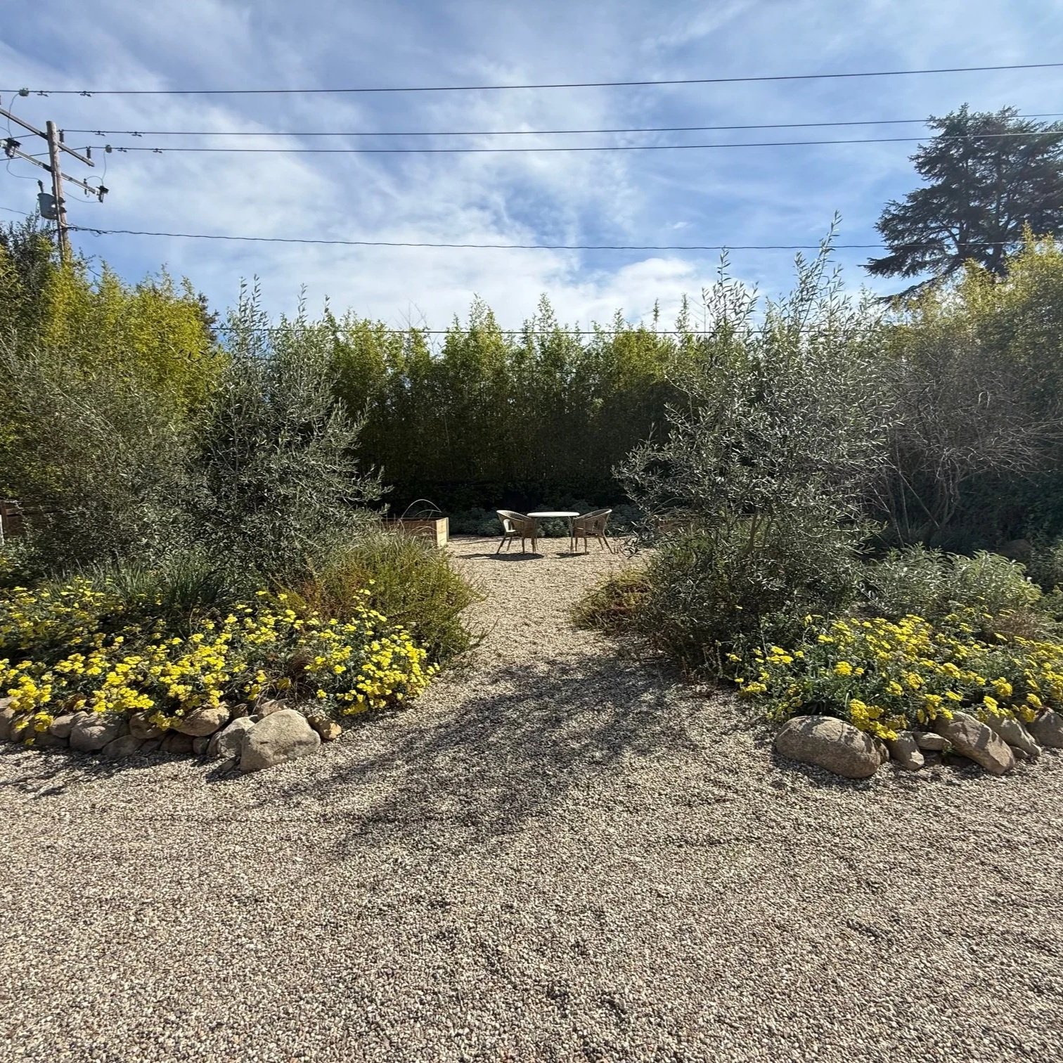 A gravel pathway leading to a small outdoor seating area with a round table and four chairs, surrounded by yellow flowers and green shrubs, under a blue sky with some clouds.