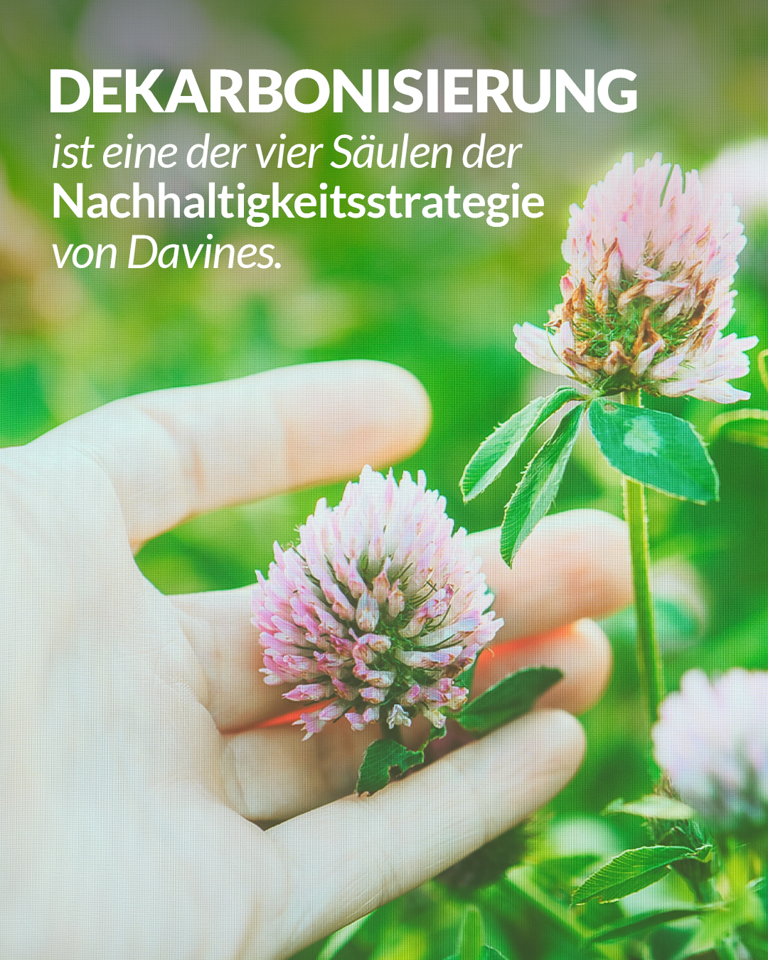 Nahaufnahme einer Hand, die eine rosa Blume im Garten hält, mit grünem Hintergrund. Der Salon Esslingen, Friseur, Balayage, Farbspezialisten, Haarfarbe und Harverlängerung und Haarverdichtung, Extensions.