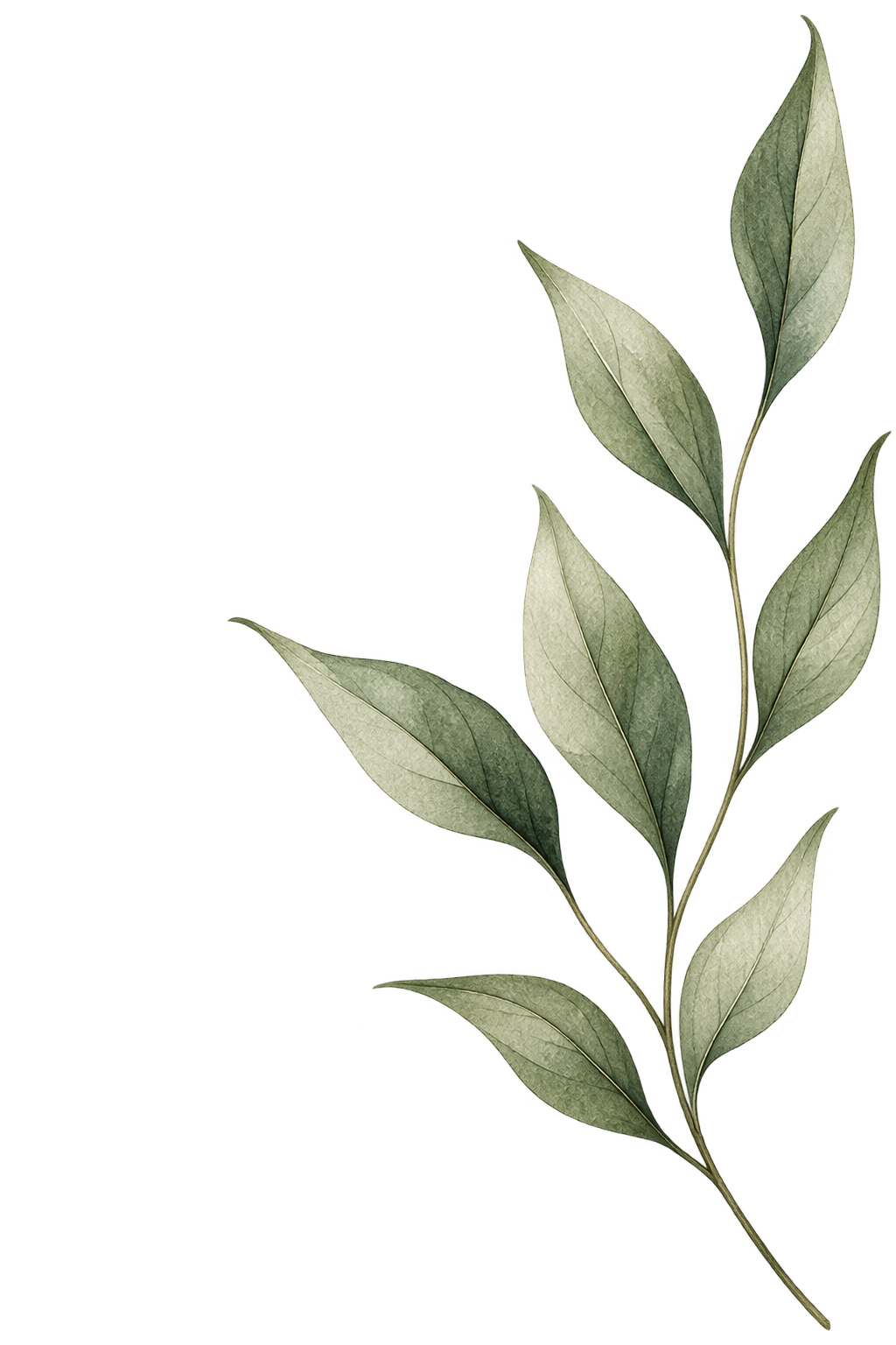 Close-up of green eucalyptus leaves with a dark background.