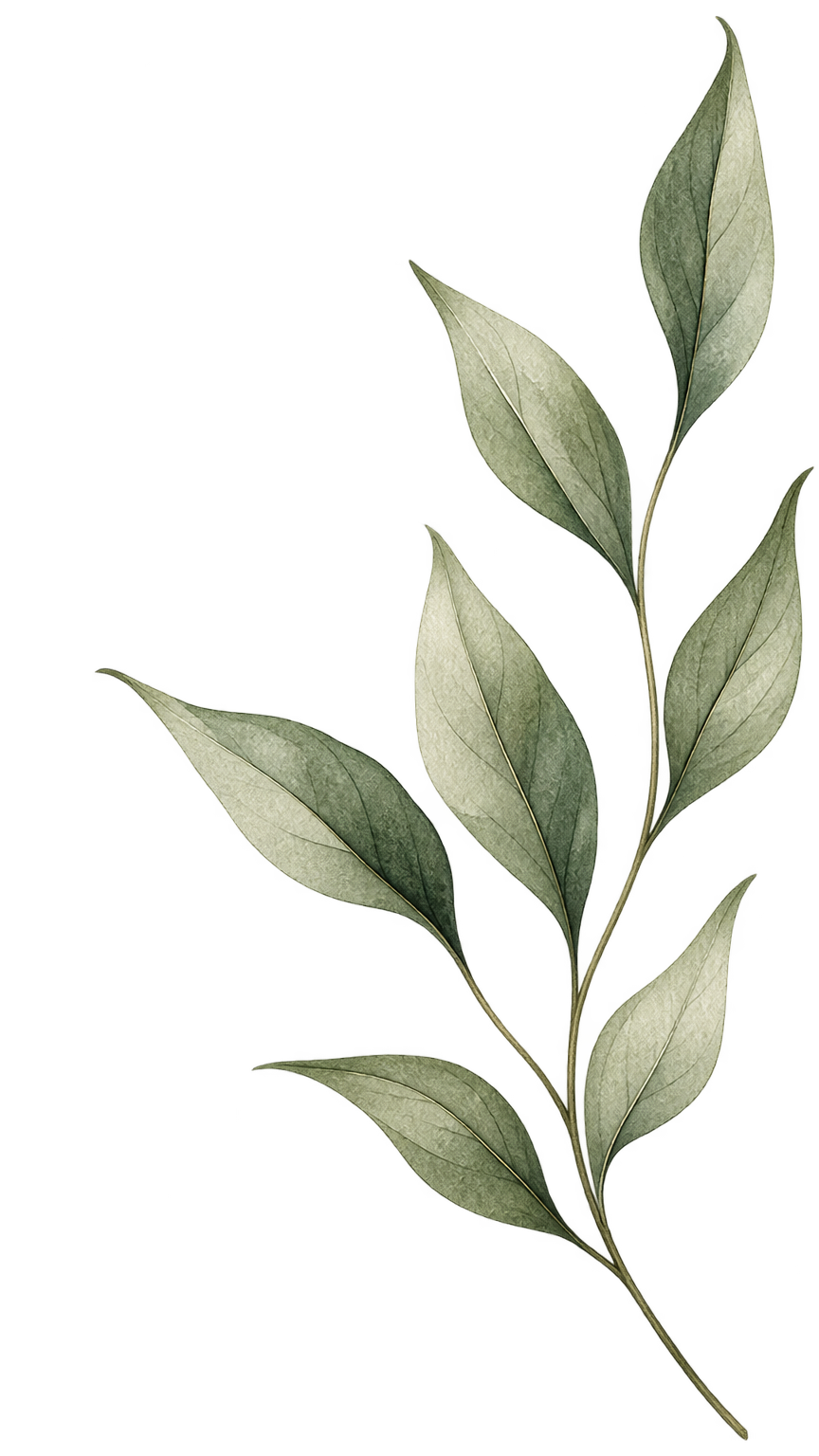 A branch with multiple green and gray leaves arranged alternately along the stem.