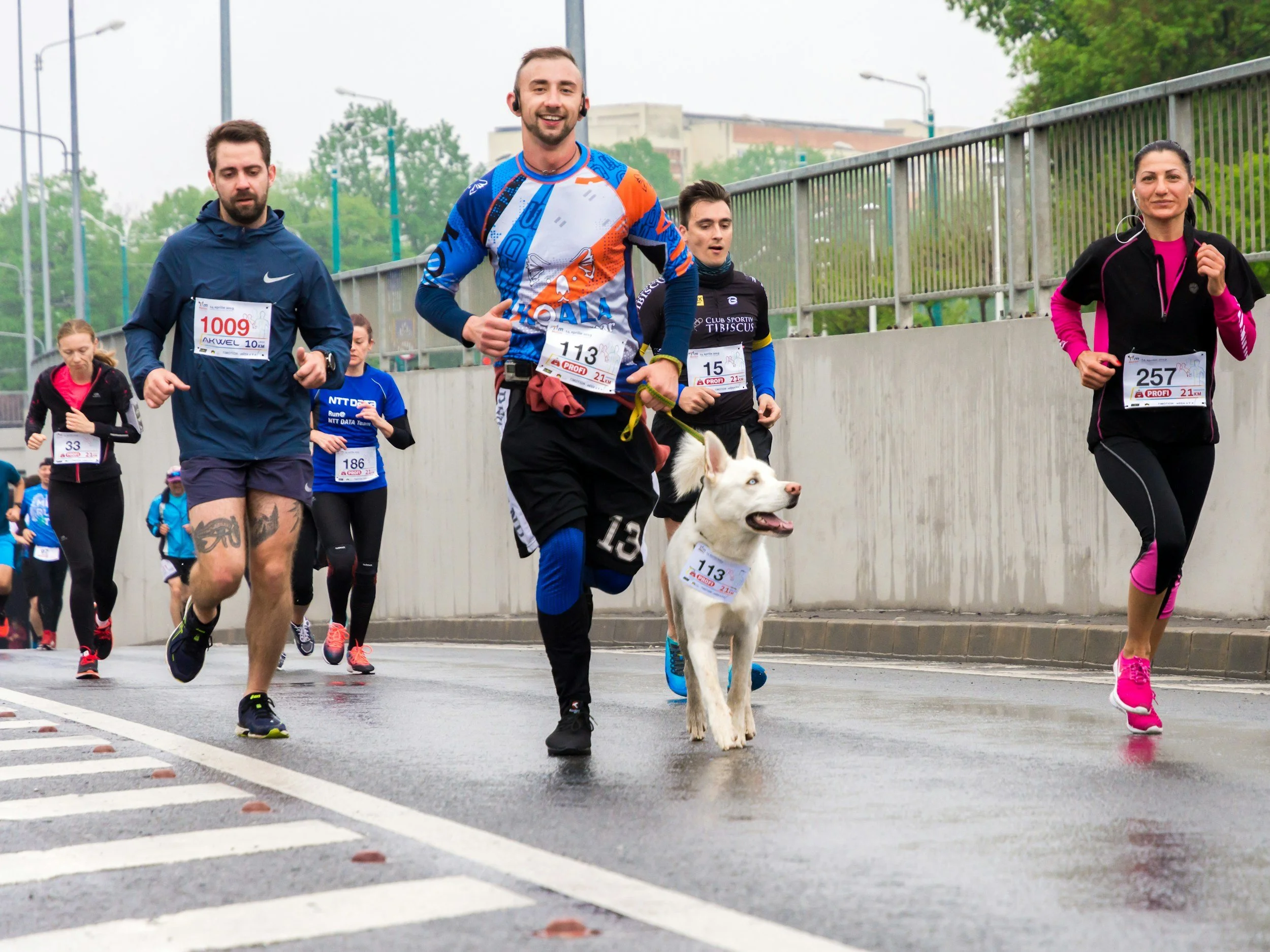 Group of runners participating in a marathon, with a woman running with a dog on a leash. The runners are on a street with a pedestrian crossing, and trees and buildings are visible in the background.