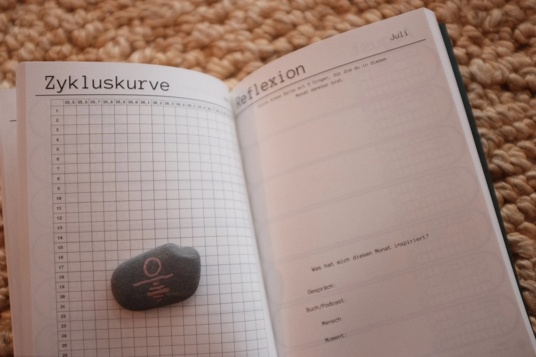 Deinen weiblichen Zyklus verstehen mit Basaltemperatur, Zykluskurve und TCM