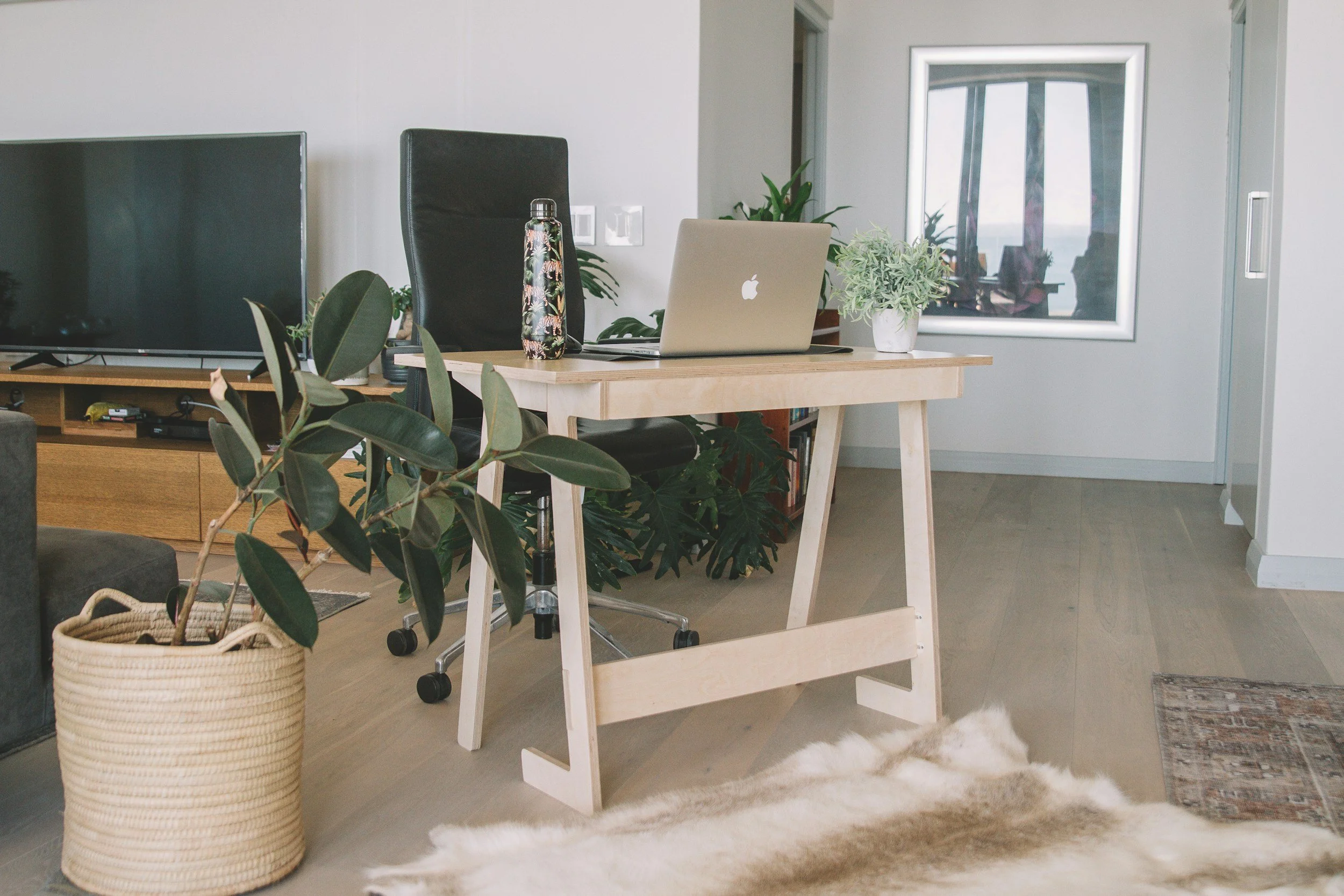 Home office with a wooden desk, black office chair, large flat-screen TV, potted plants, a laptop, water bottle, and decorative rug.