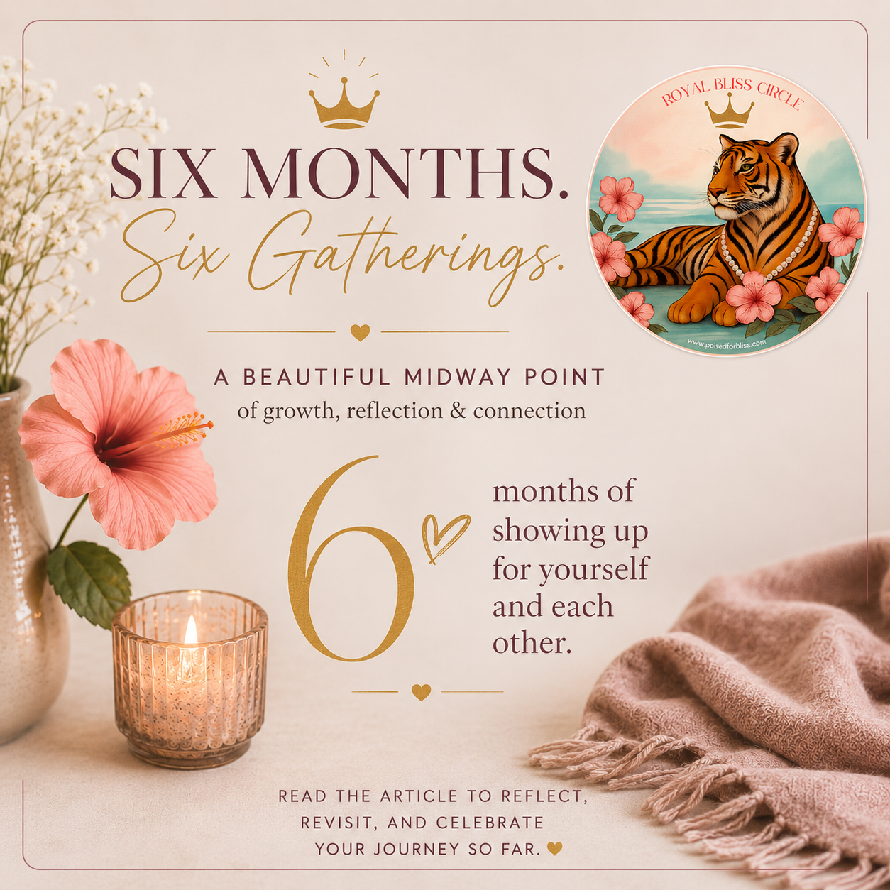 The Midway Point: Six Months of Royal Bliss Circle™