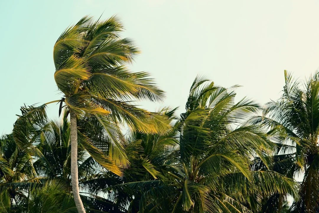 Vata Season Reboot: Calm the Chaos and Ground Your Energy