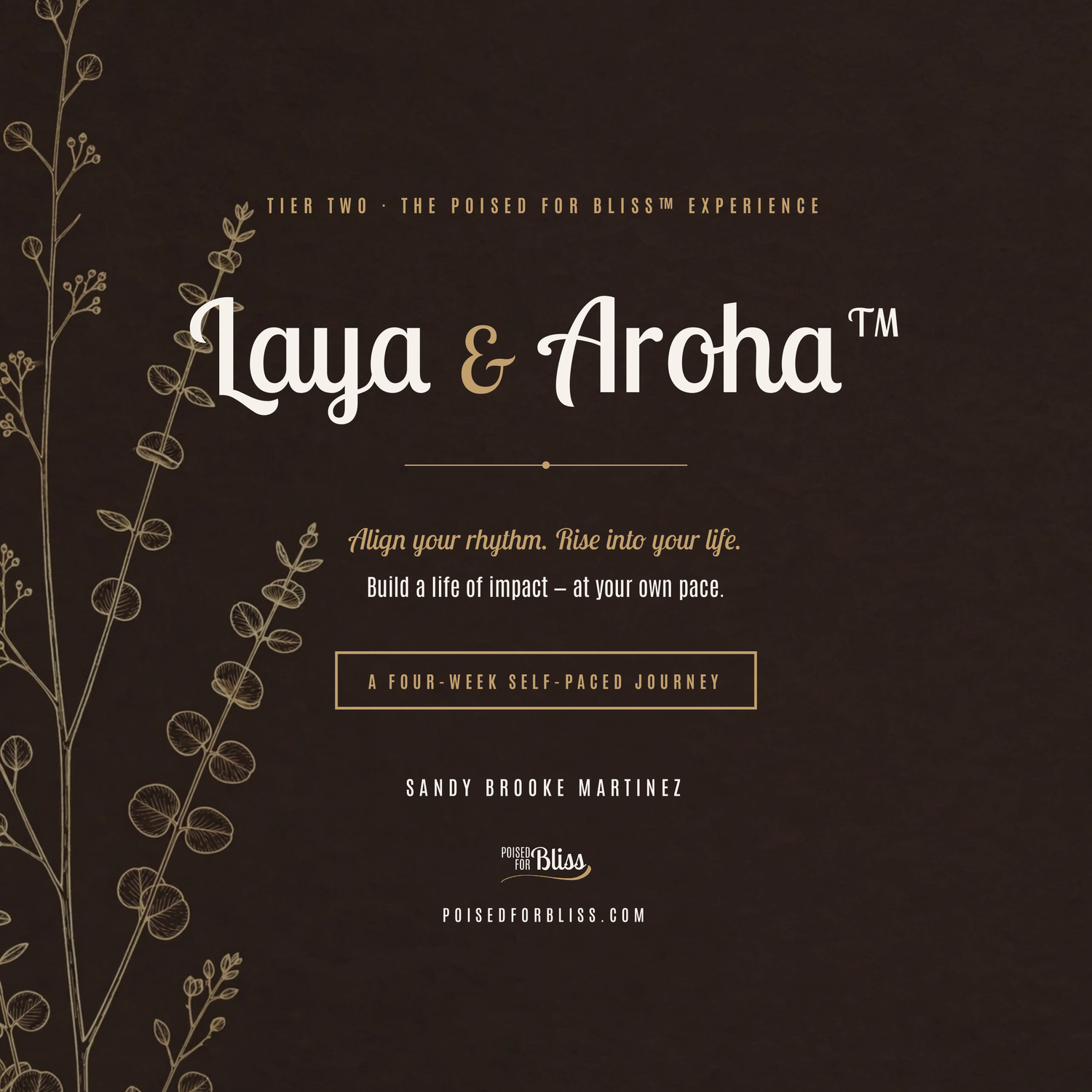 Laya & Aroha™ workbook cover