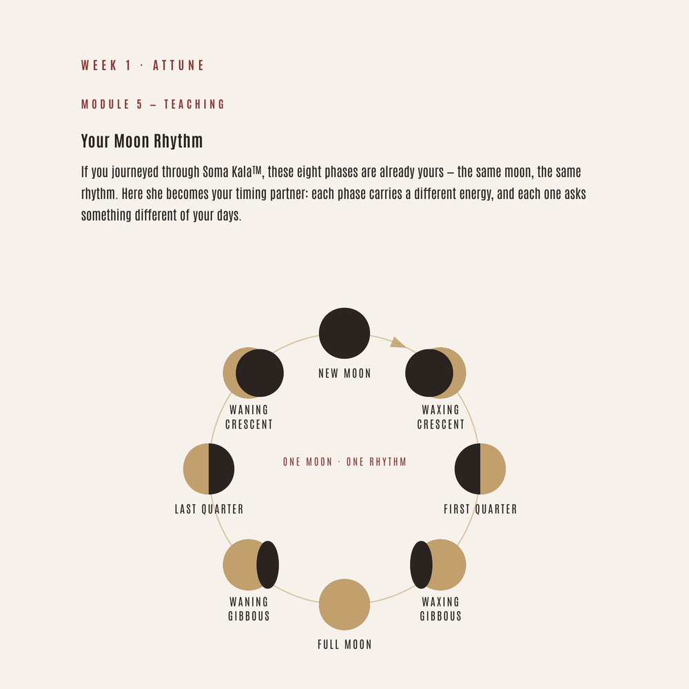 Preview of the moon visual inside the Laya & Aroha™ workbook