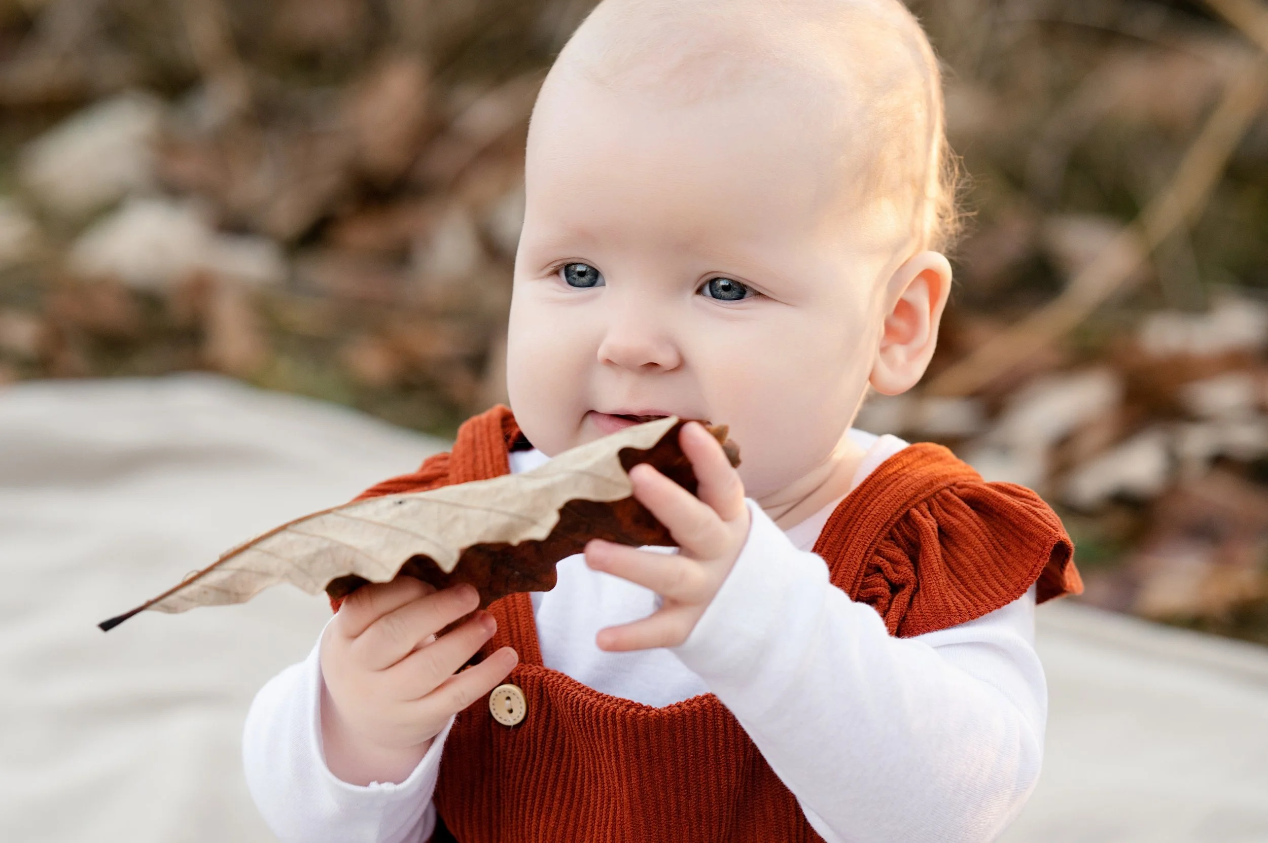 A baby with blue eyes and fair skin holding and examining a large dry leaf outdoors.