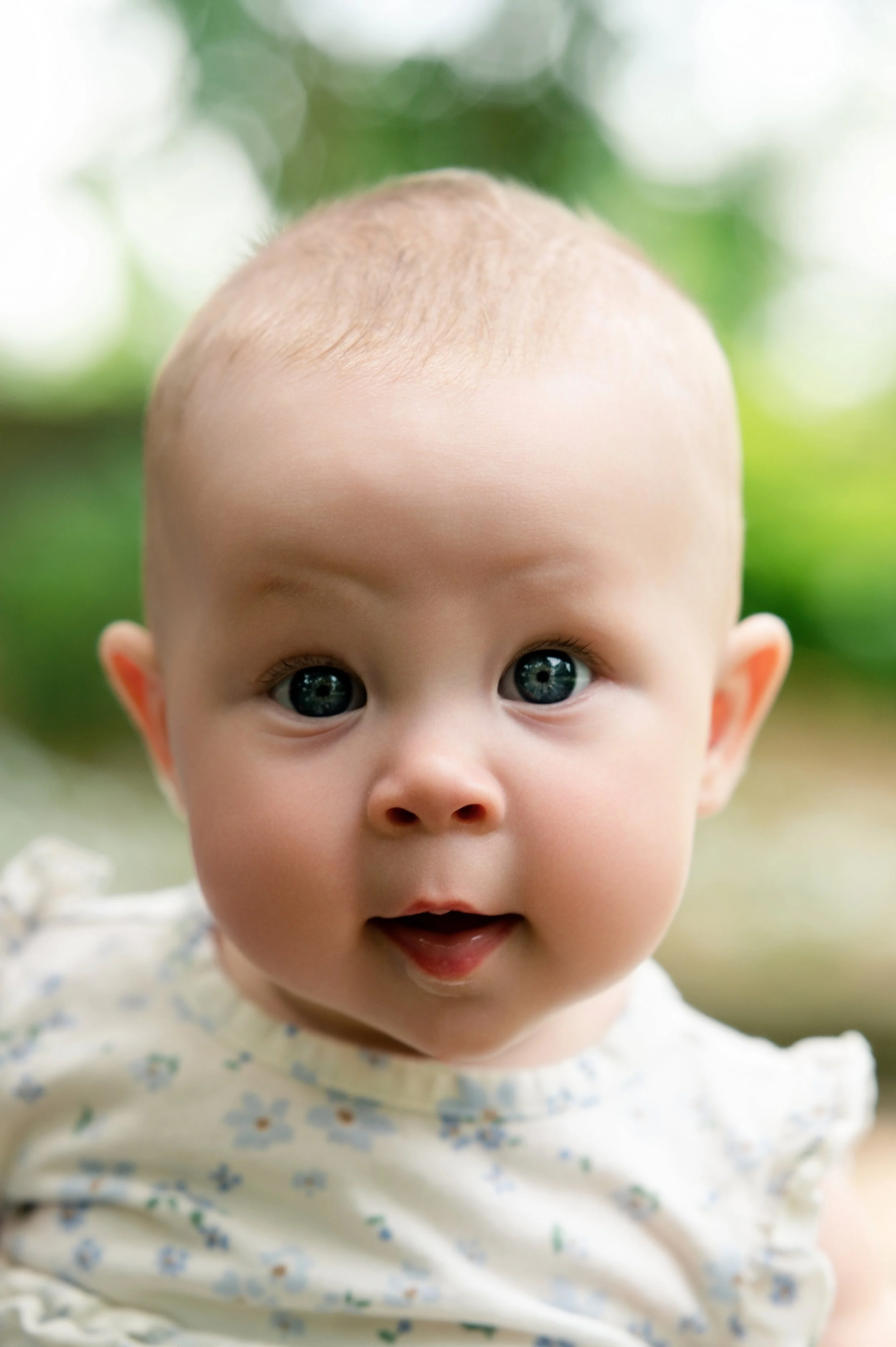 Family portrait testimonial for C&C PHOTO in Janesville, Wisconsin
