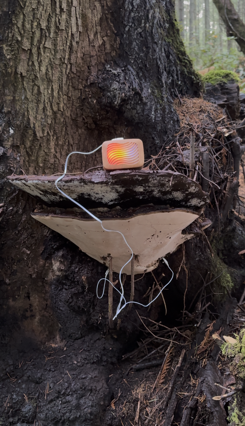 Screenshot 2026-01-10 at 3.46.28 PM.png