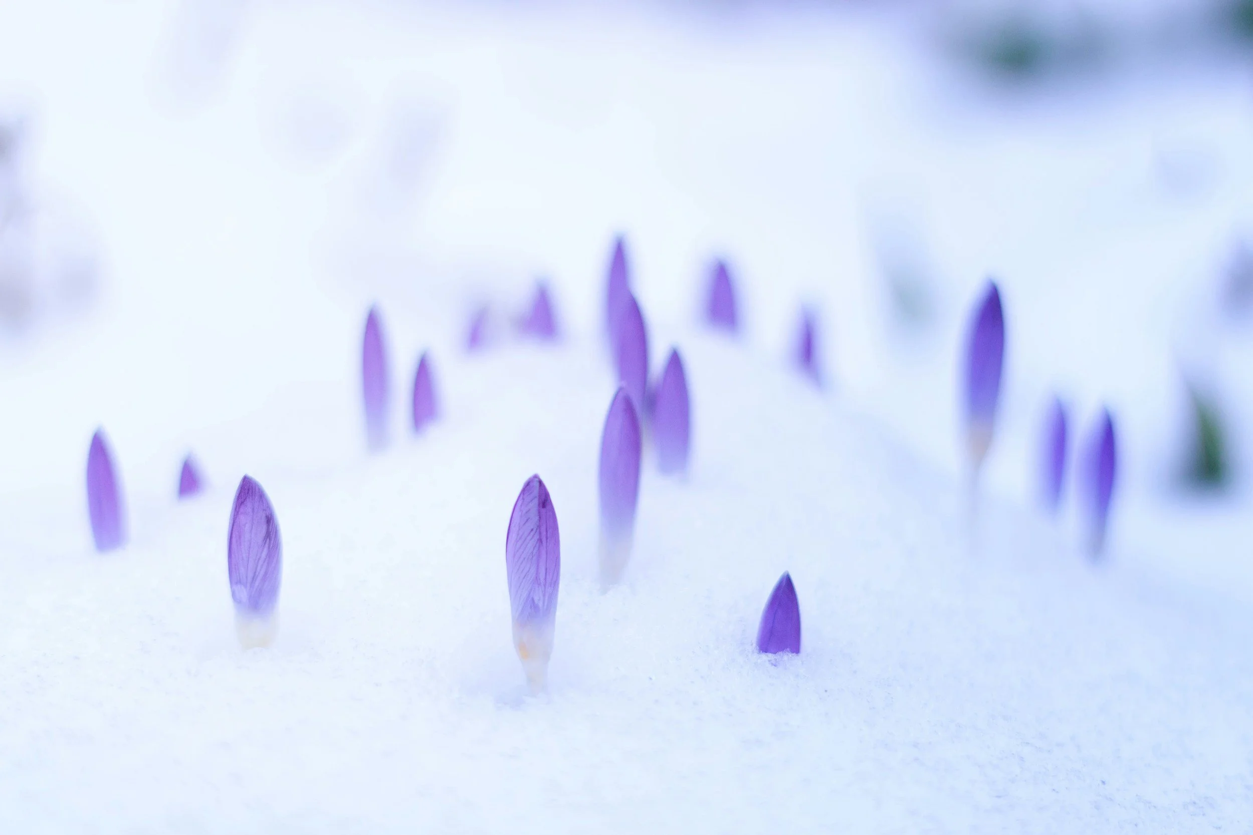 Affirm yourself: Inviting, Accepting, and Embracing Change