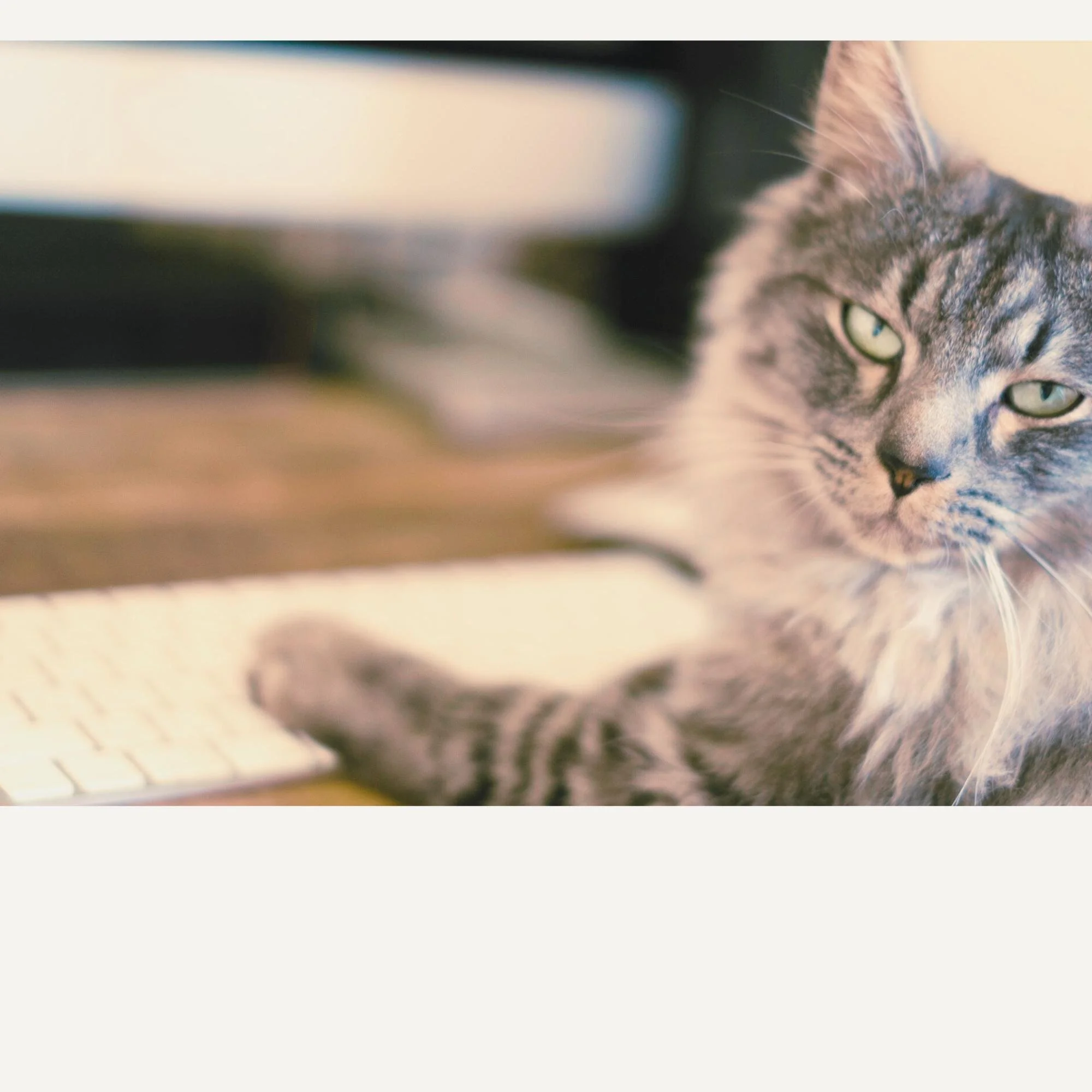 Before You Get More Leads, Read This