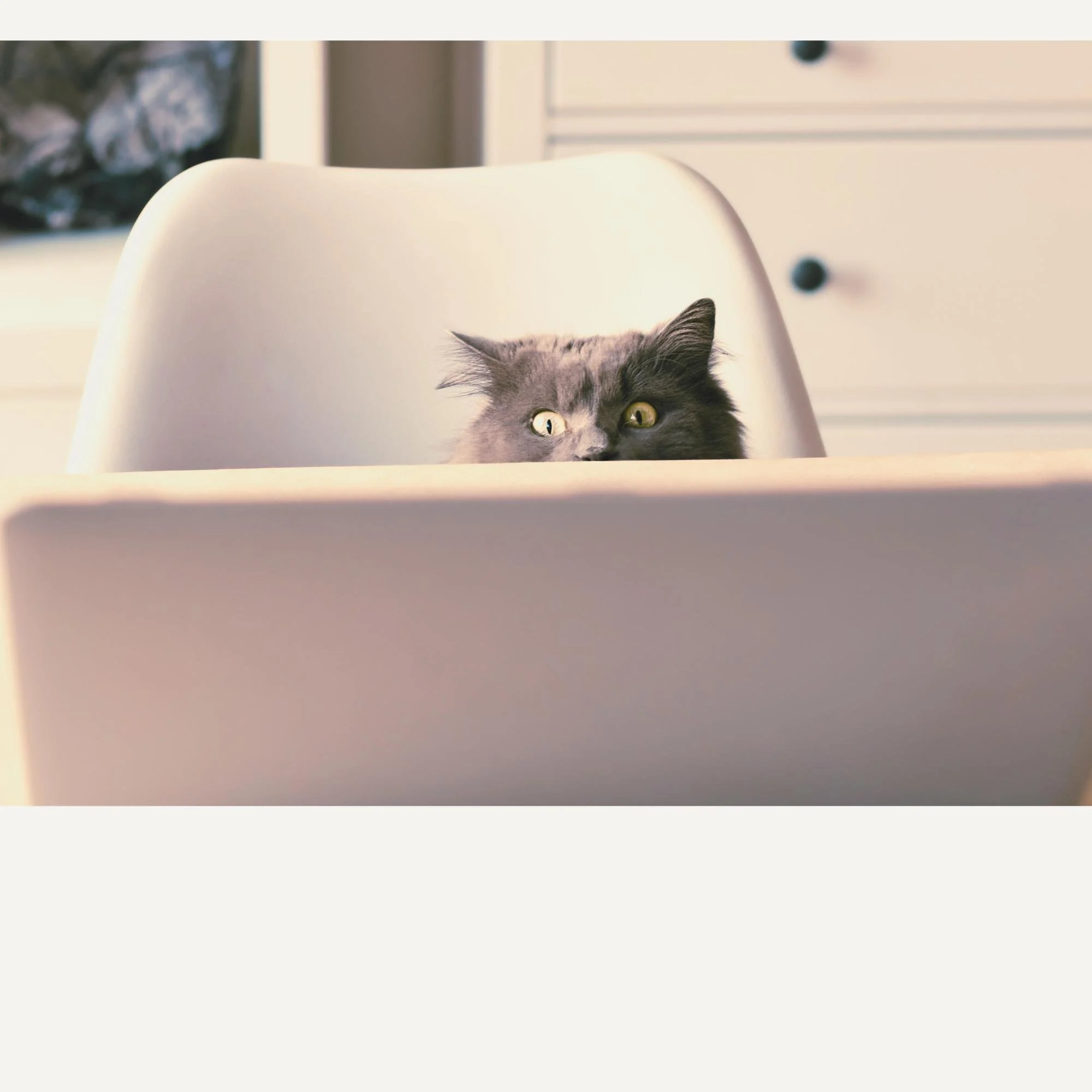 Before You Pick a Tool, Ask Yourself These Questions