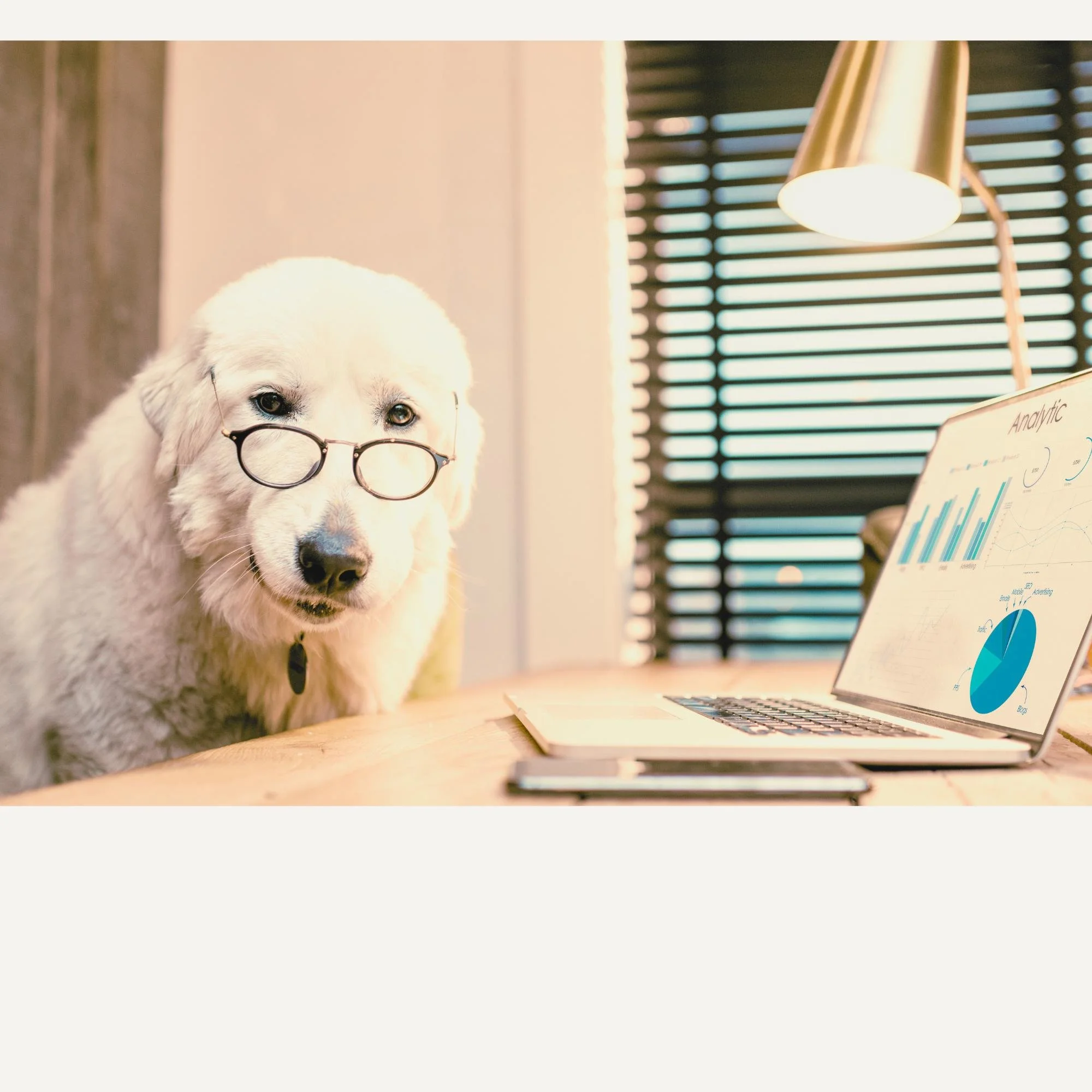 Before You Pick a Tool, Understand the System You're Already In