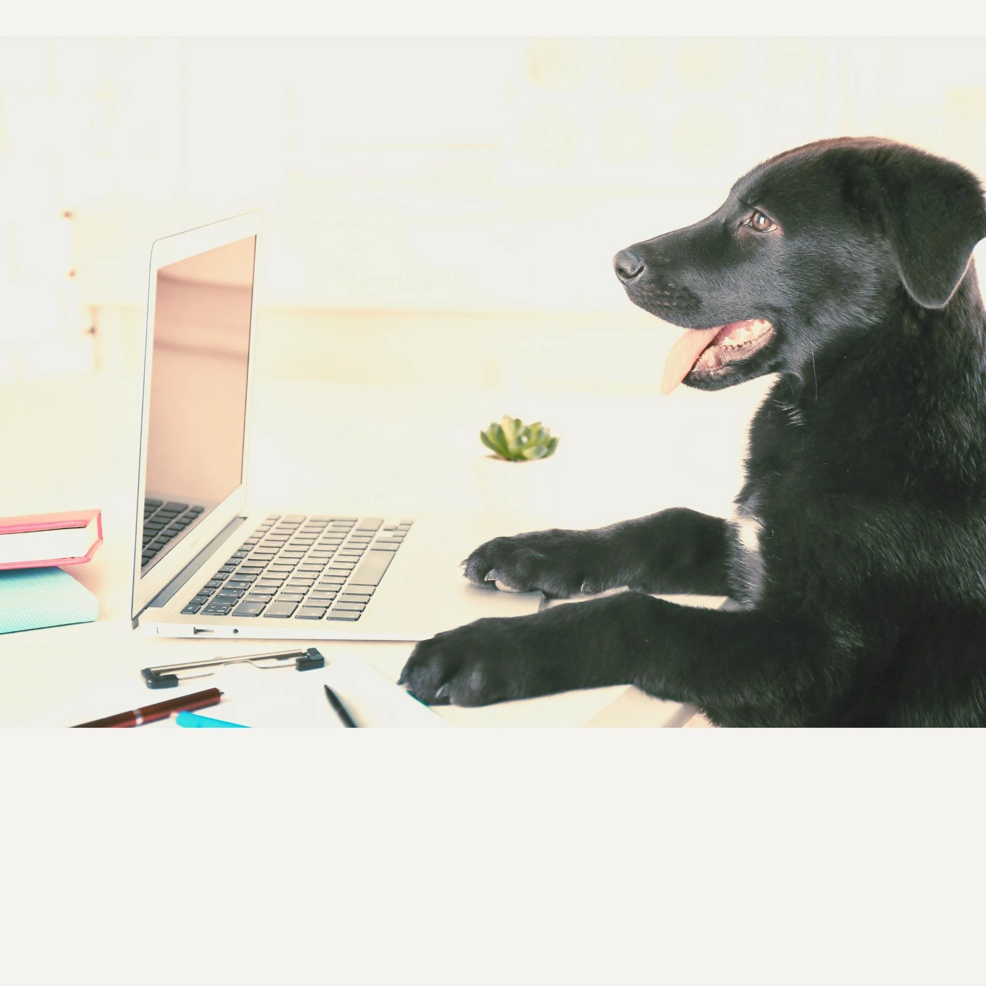 You Bought the Wrong Tool: Here’s How to Triage Without the Shame Spiral.