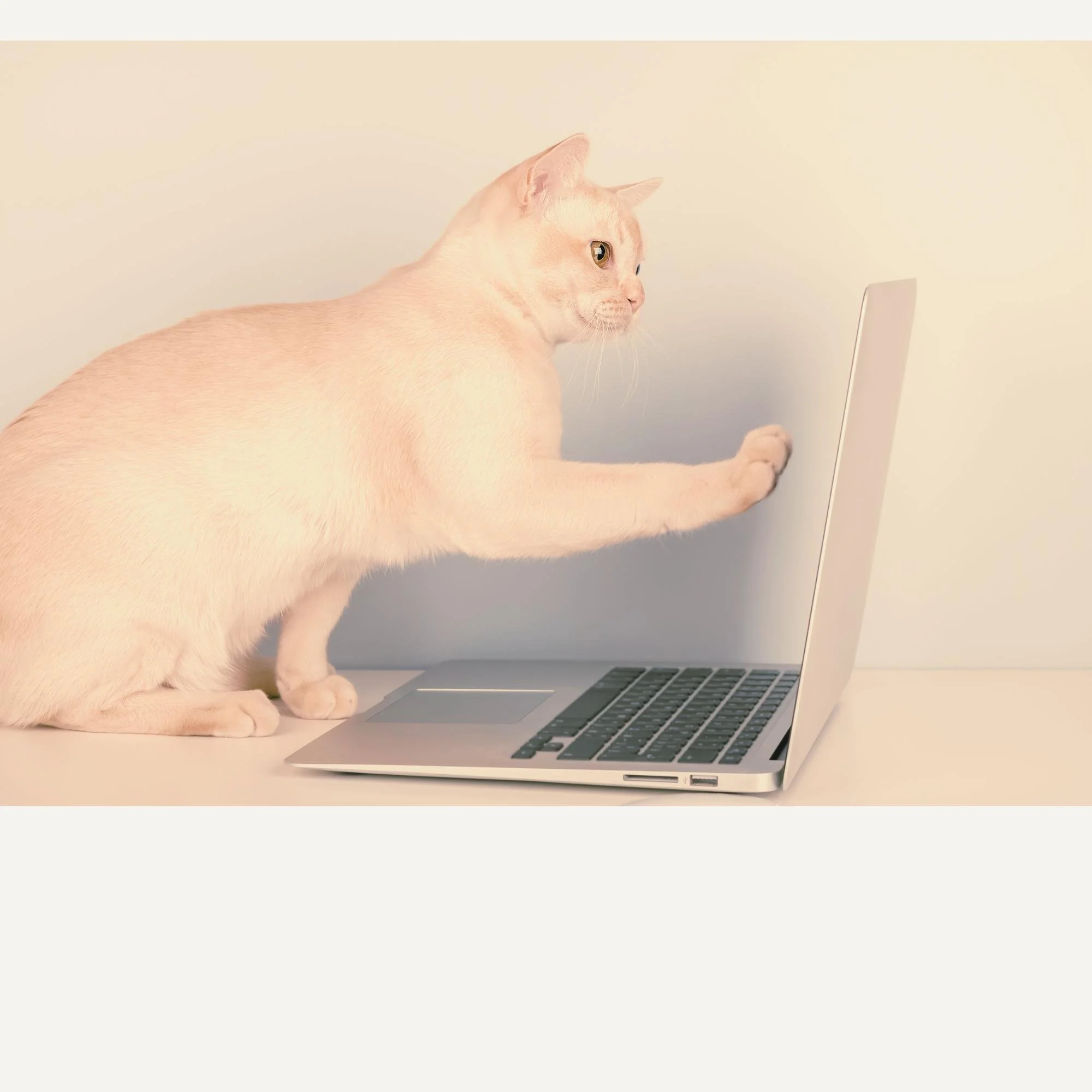 Why Running Your Business Feels So Hard (Even Though You're Good at What You Do)