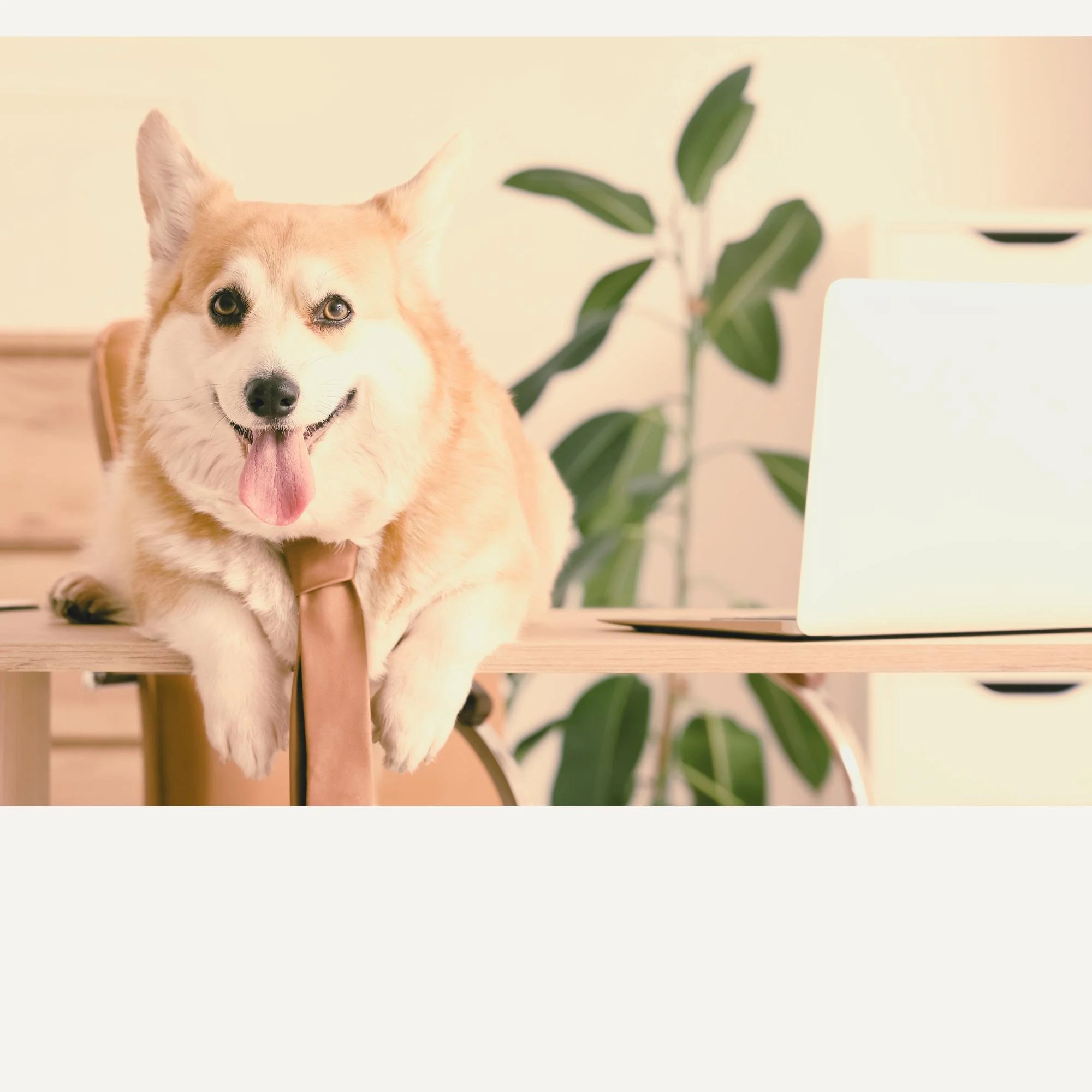 What If Your Business Felt 10% Easier in 2026?