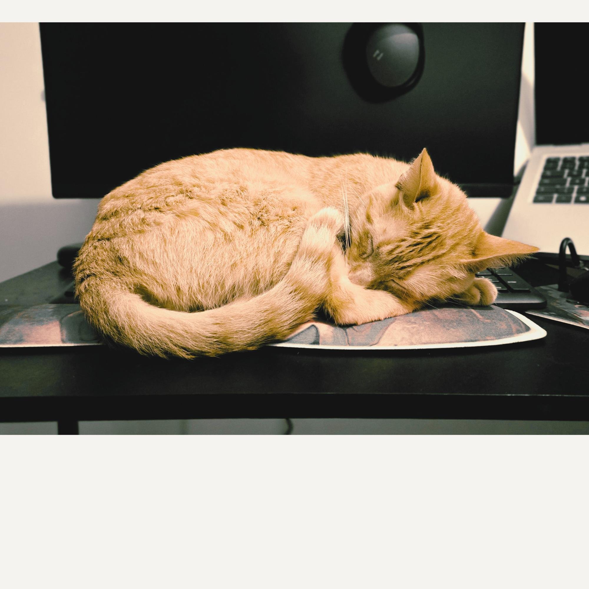 How Automations Made My Client Experience More Human (Not Less)