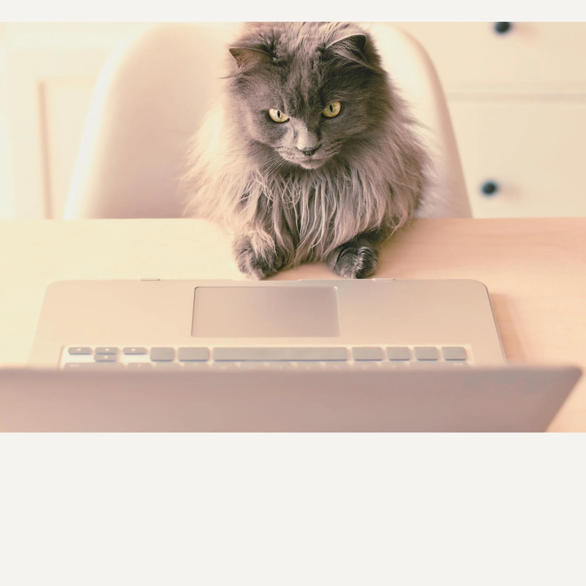 How to Hire the Right Support (Without Playing Title Tetris)