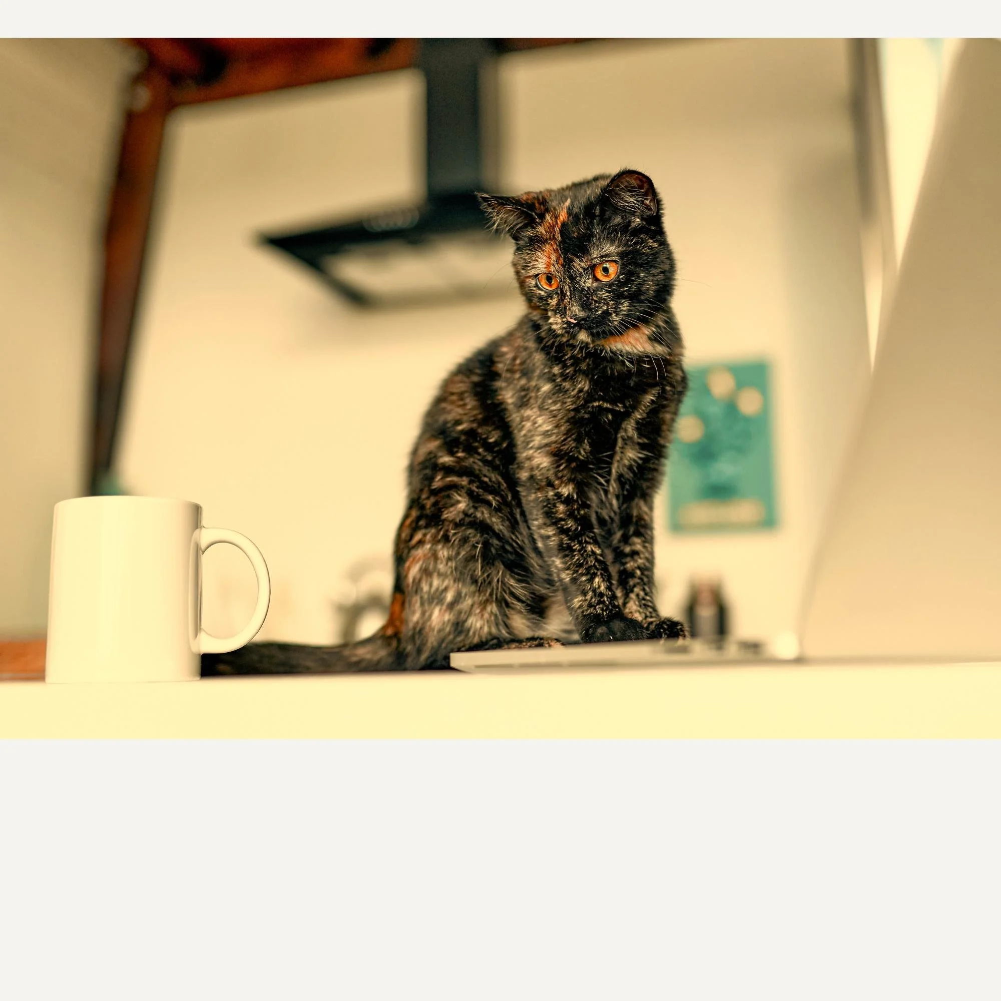 How We Evolve: 3 Quiet Shifts That Make Your Business More Yo