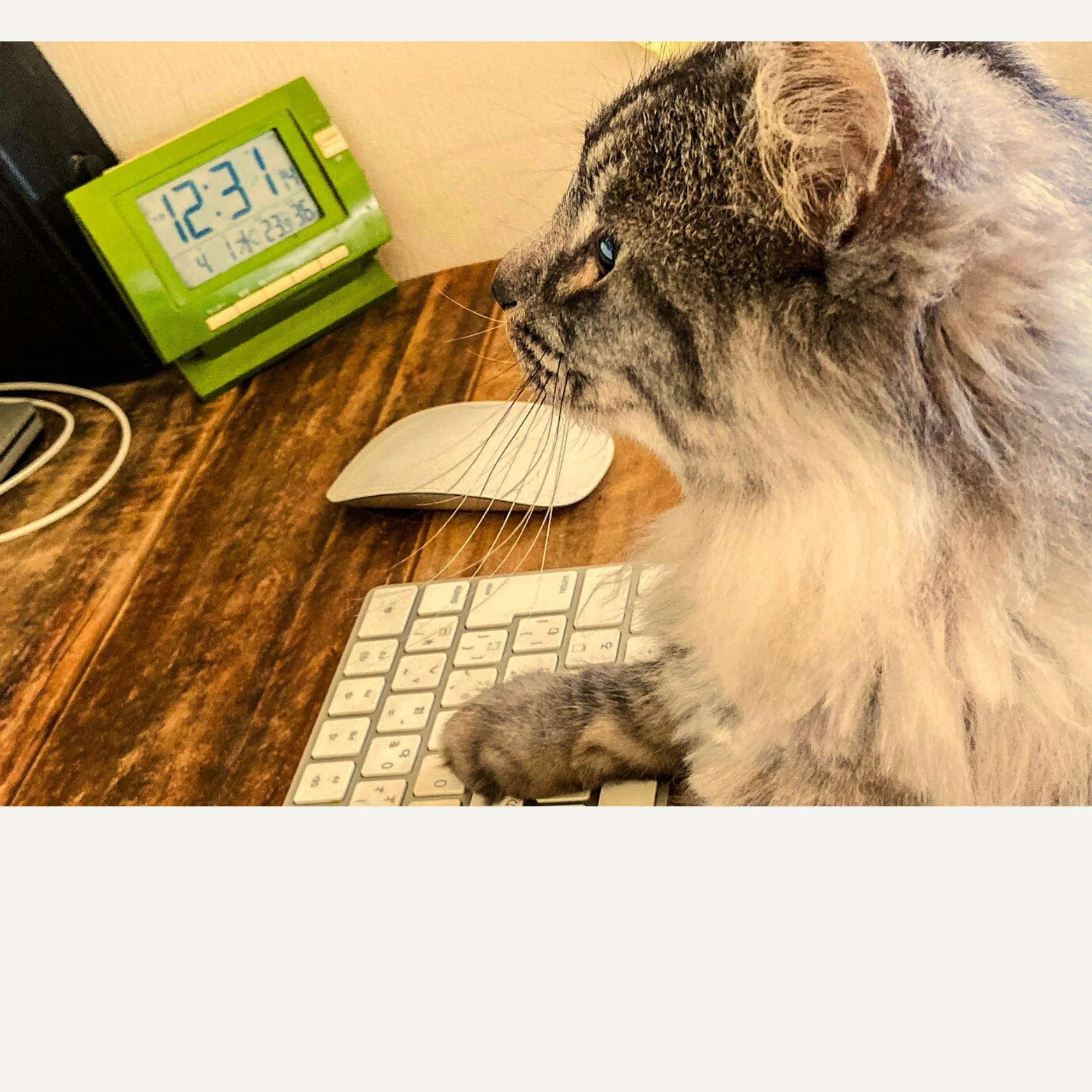 New Tool—or a Little Process CARE?