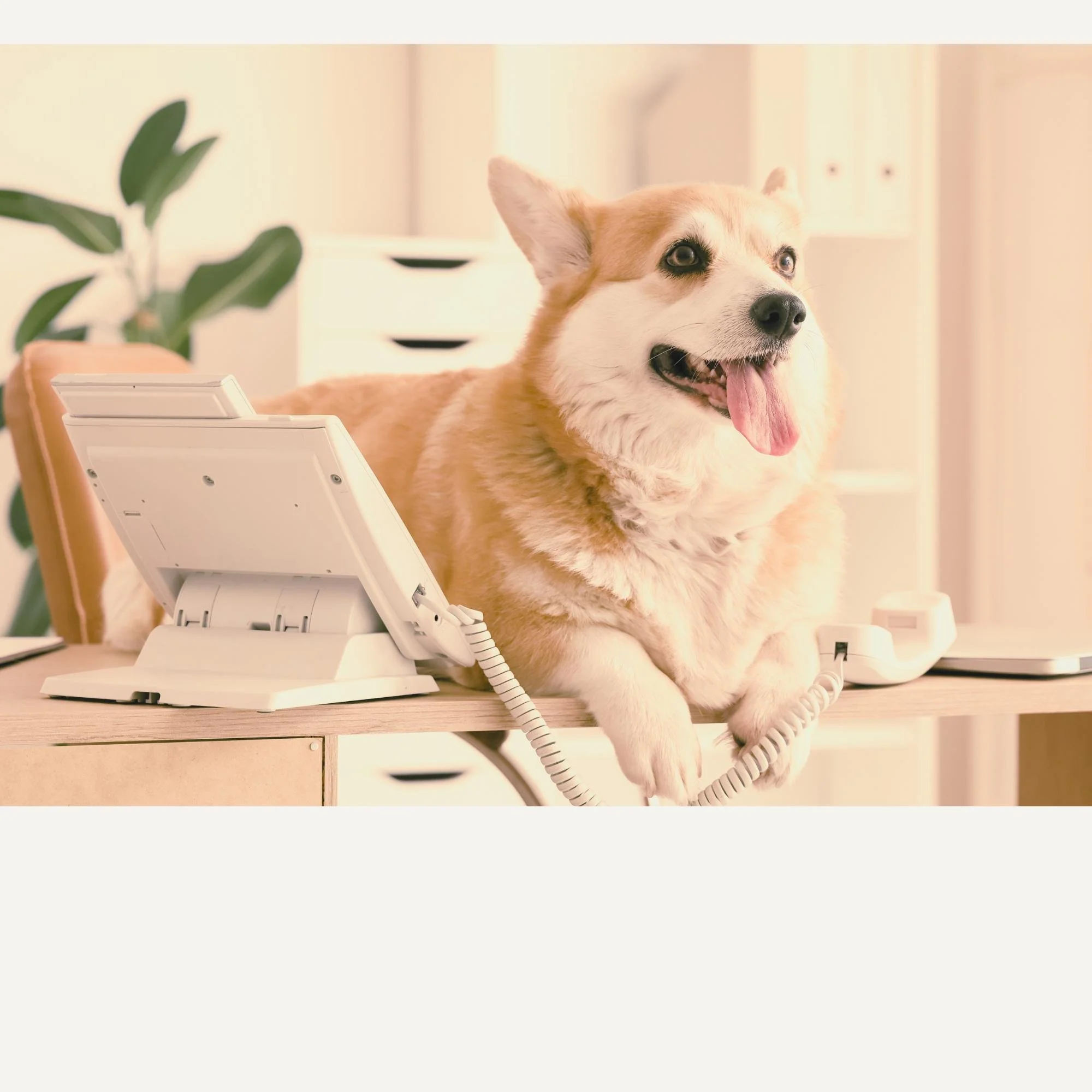 Slow Season Systems That Actually Support You