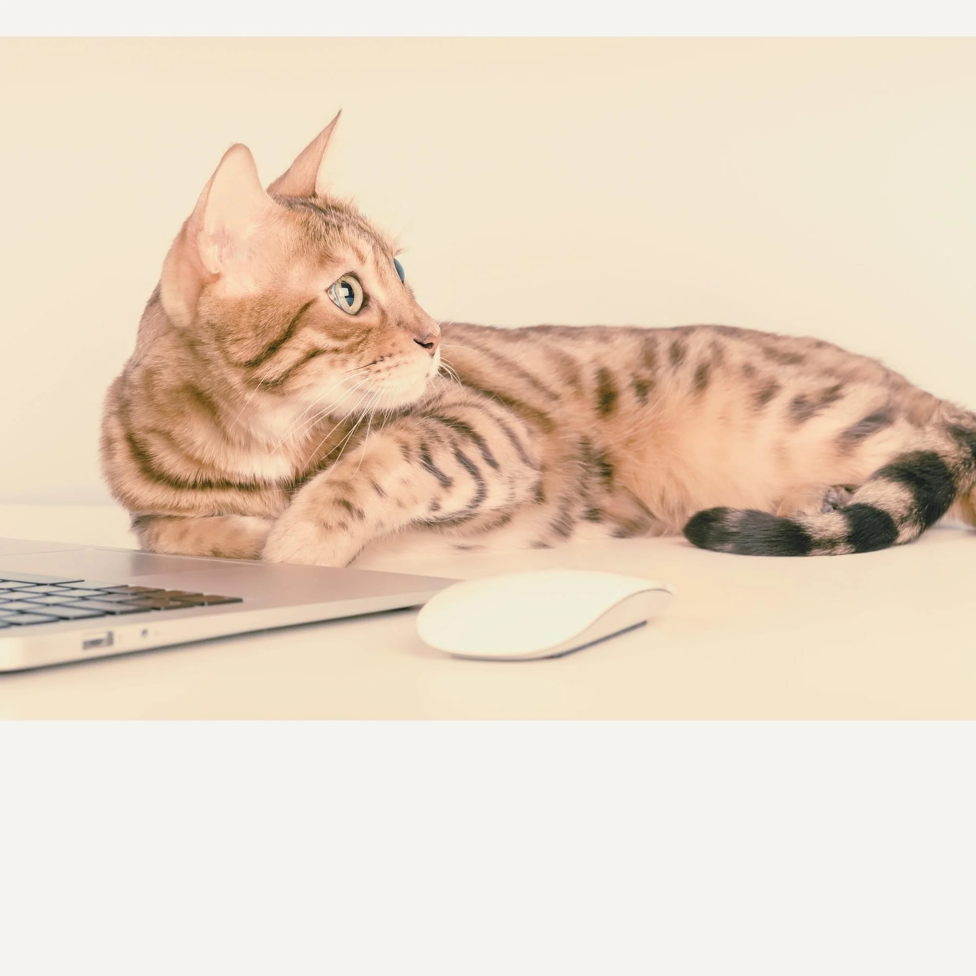 The Metrics That Actually Matter (Hint: It's Not Your Instagram Views)