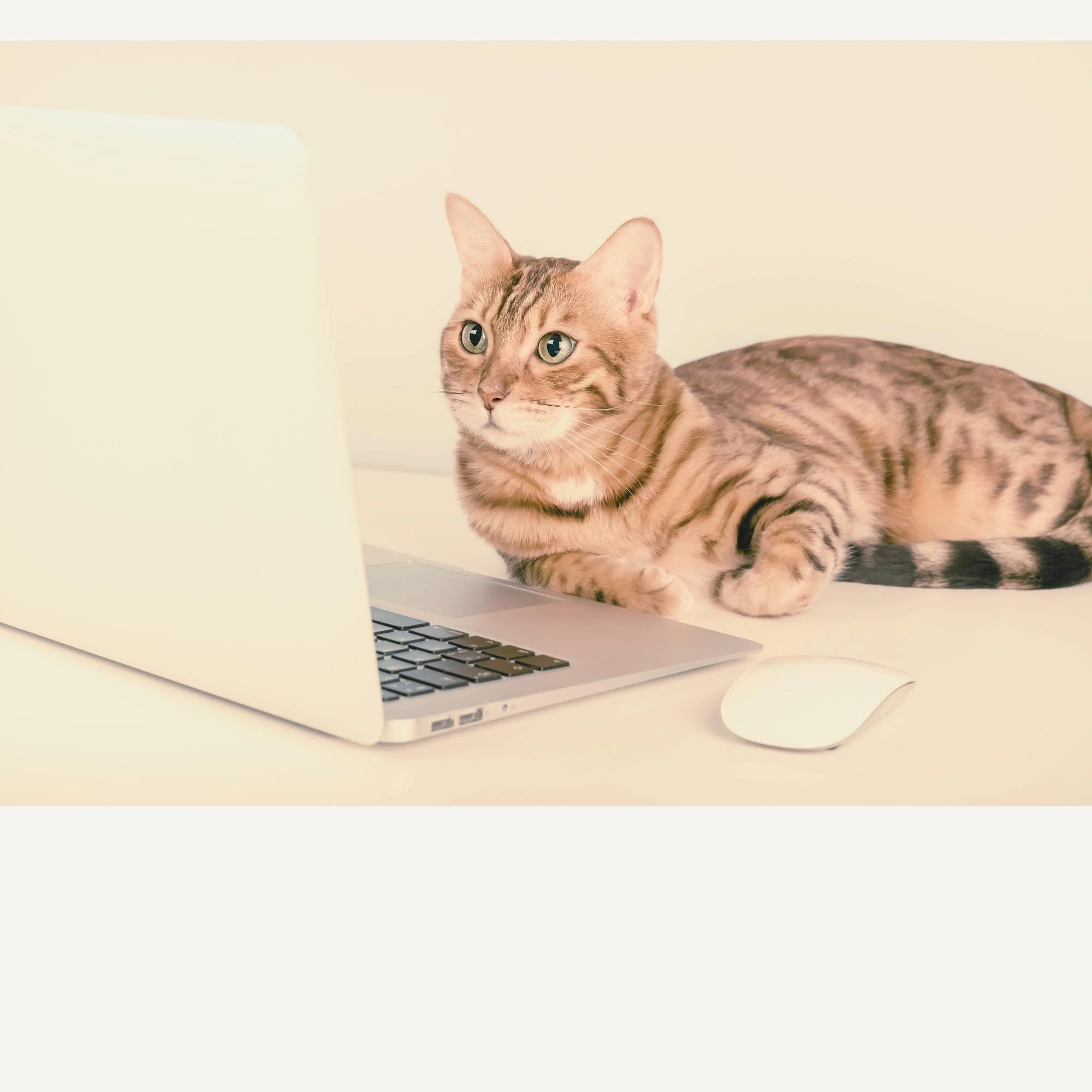 When Your Systems Secretly Hate You: Matching Client Experience to Your Human Design