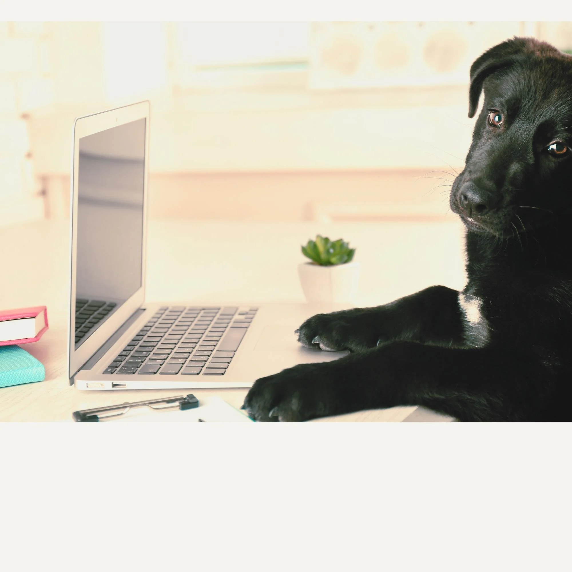 Designing Client Journeys That Feel Like You