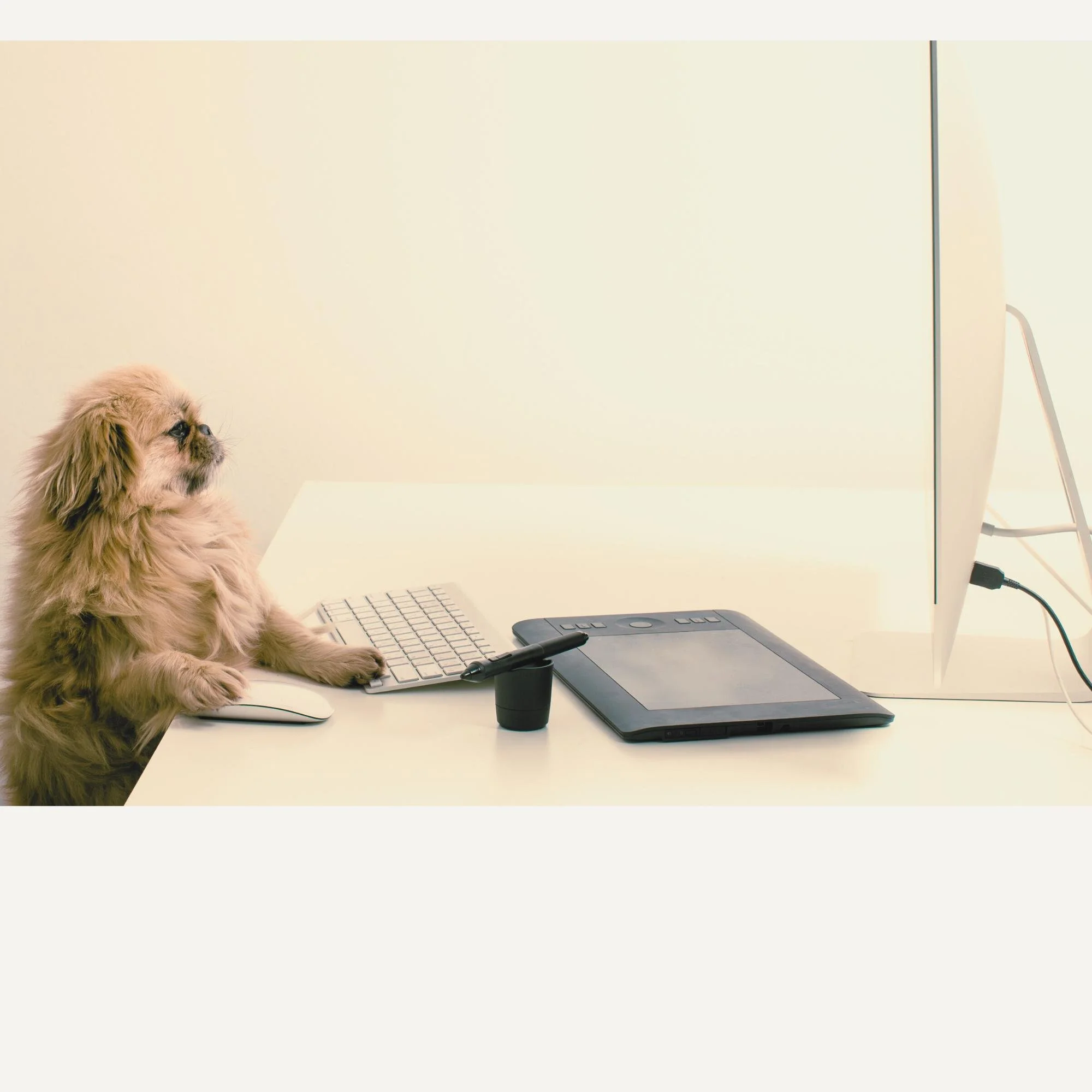 5 Systems That Buy Back Time (Without Hiring a Team)