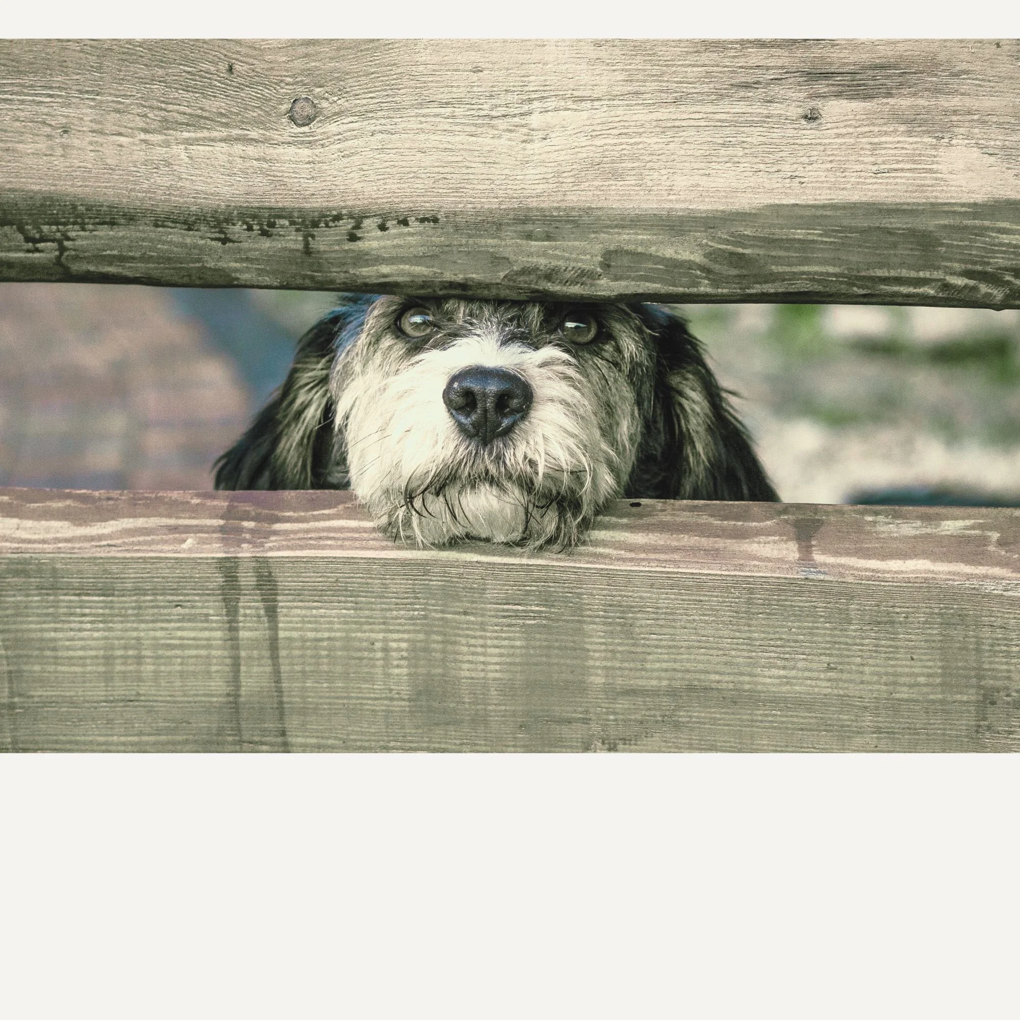 Most “Bad” Clients Aren’t Red Flags. They Simply Don’t Know Your Boundaries.